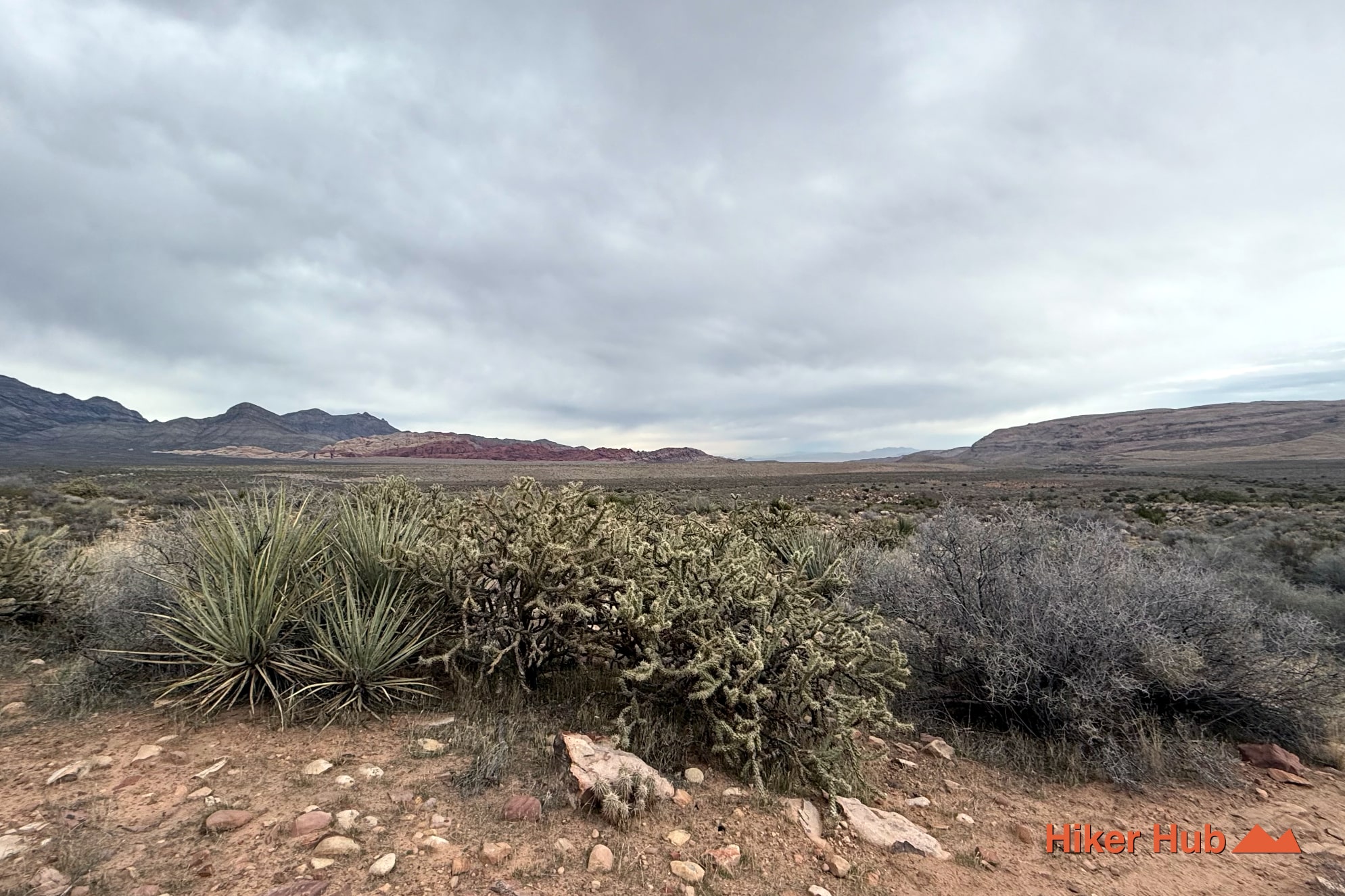 
                            Knoll via Arnight & Oak Creek Canyon Trail