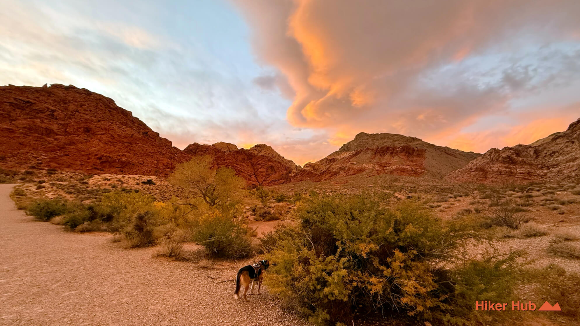 Ash Spring Trail desert canyon scenery