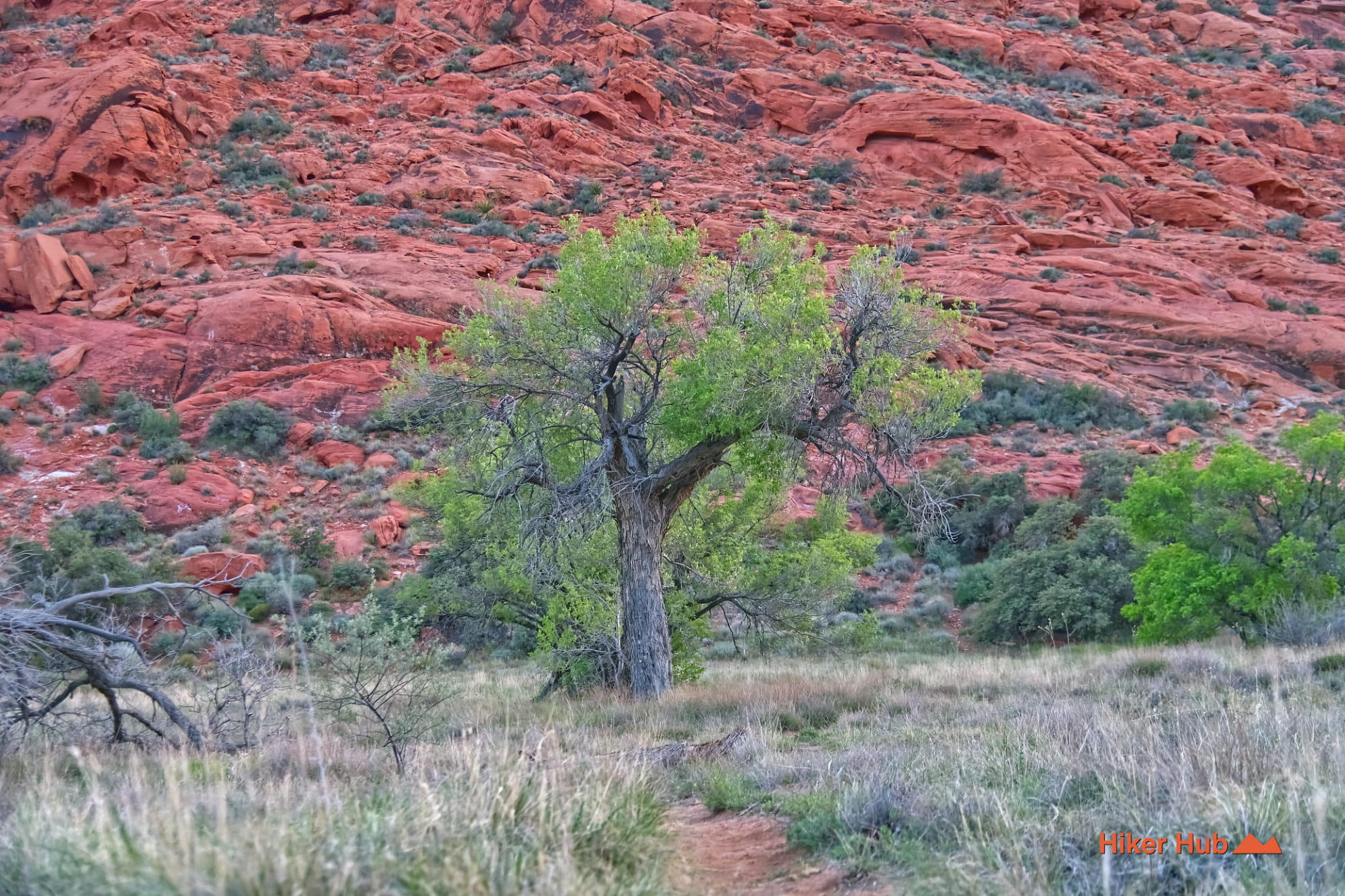 Ash Spring Trail photo