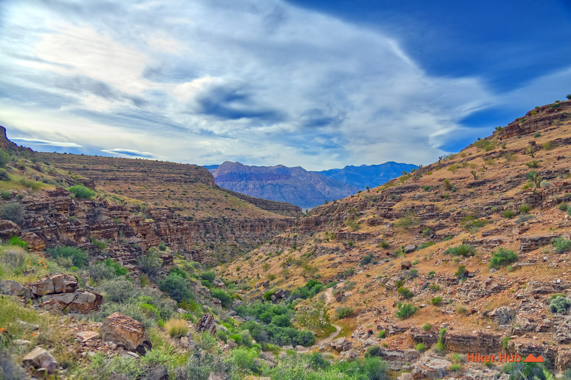 Bob Gnarly–Boneshaker Loop photo