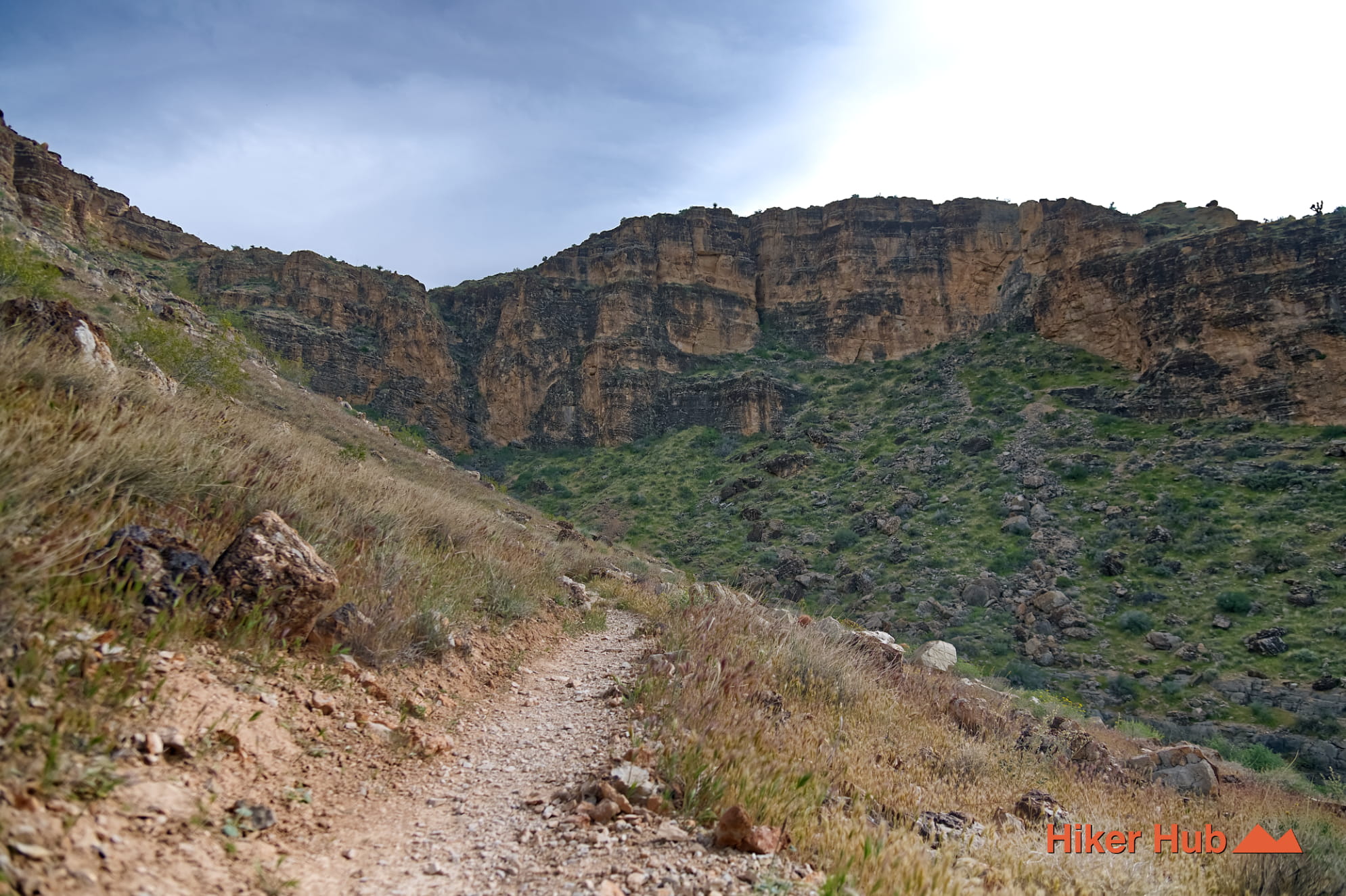 Bob Gnarly Trail photo