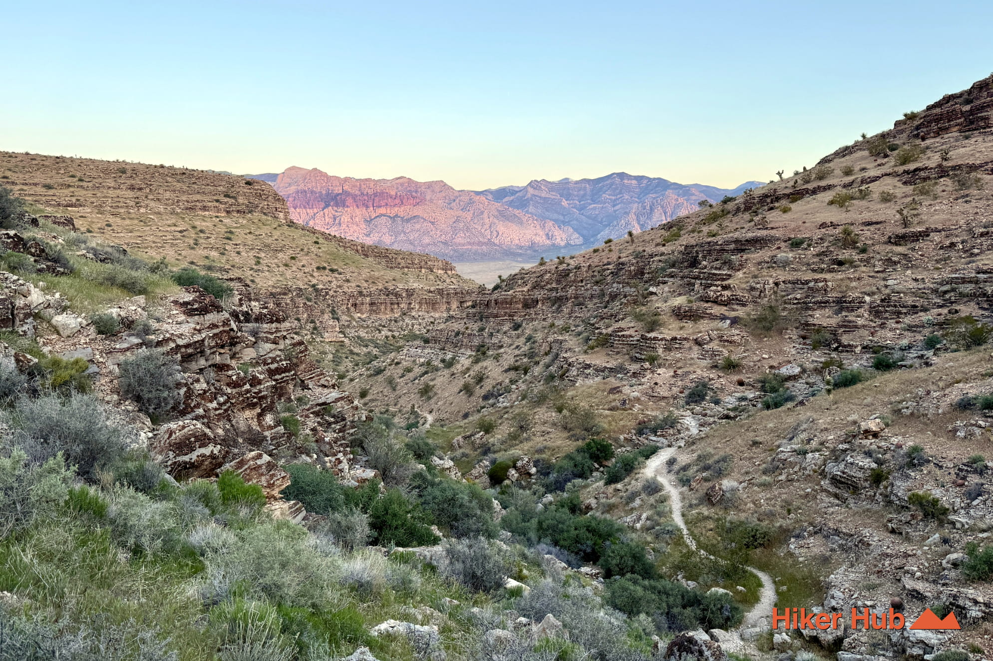 Bob Gnarly Trail photo
