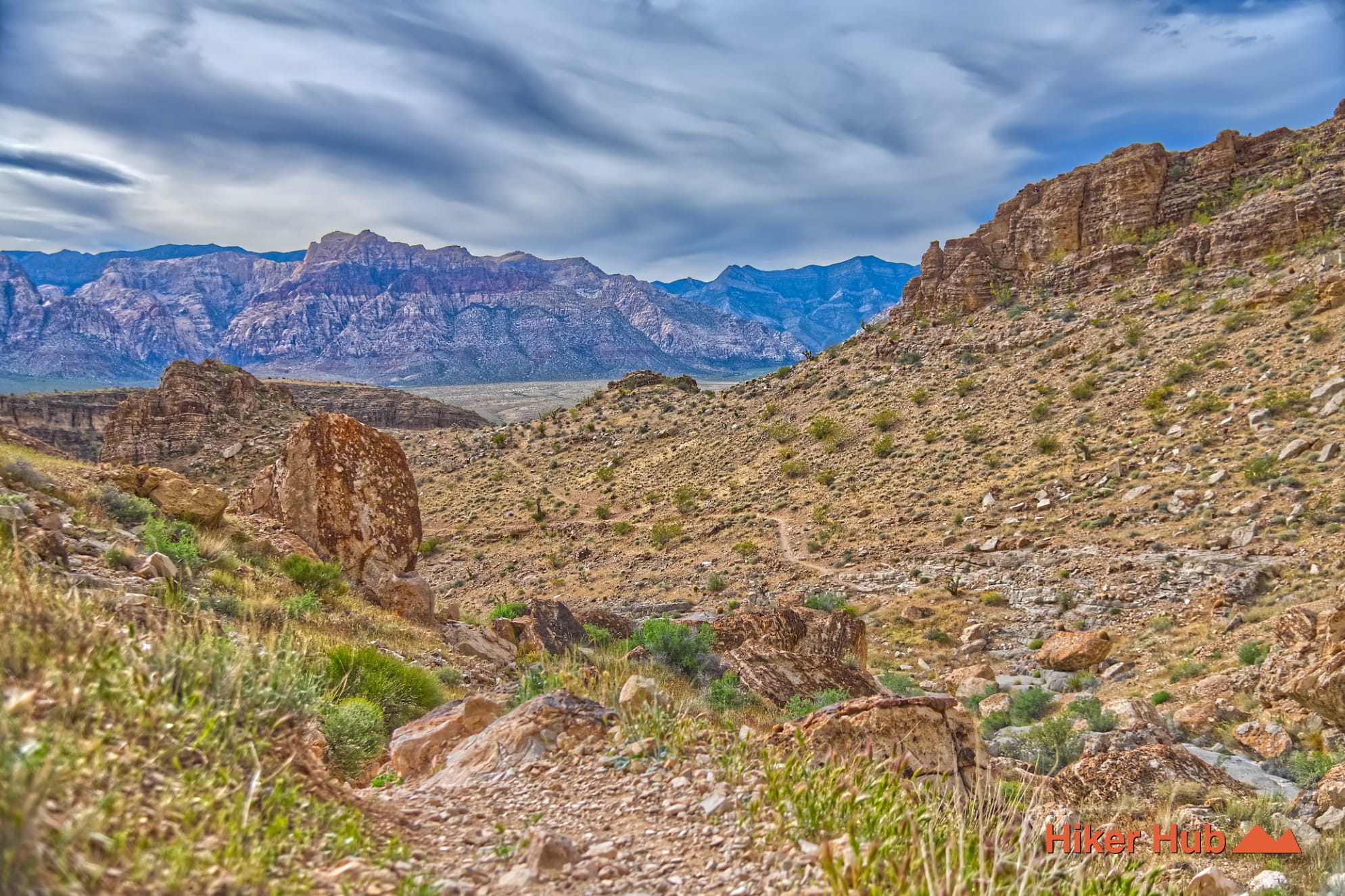 Bob Gnarly Trail photo