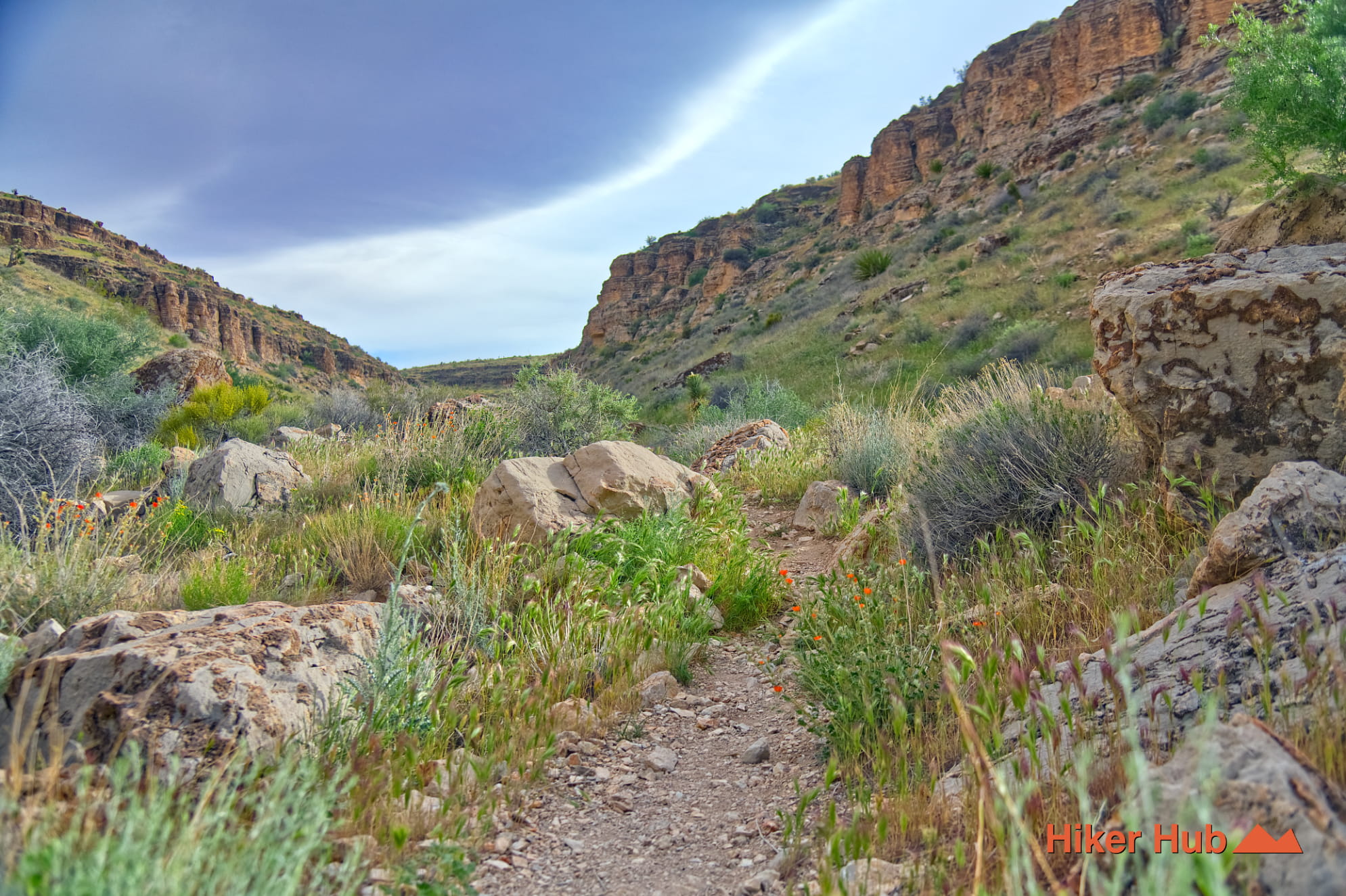 Bob Gnarly Trail photo
