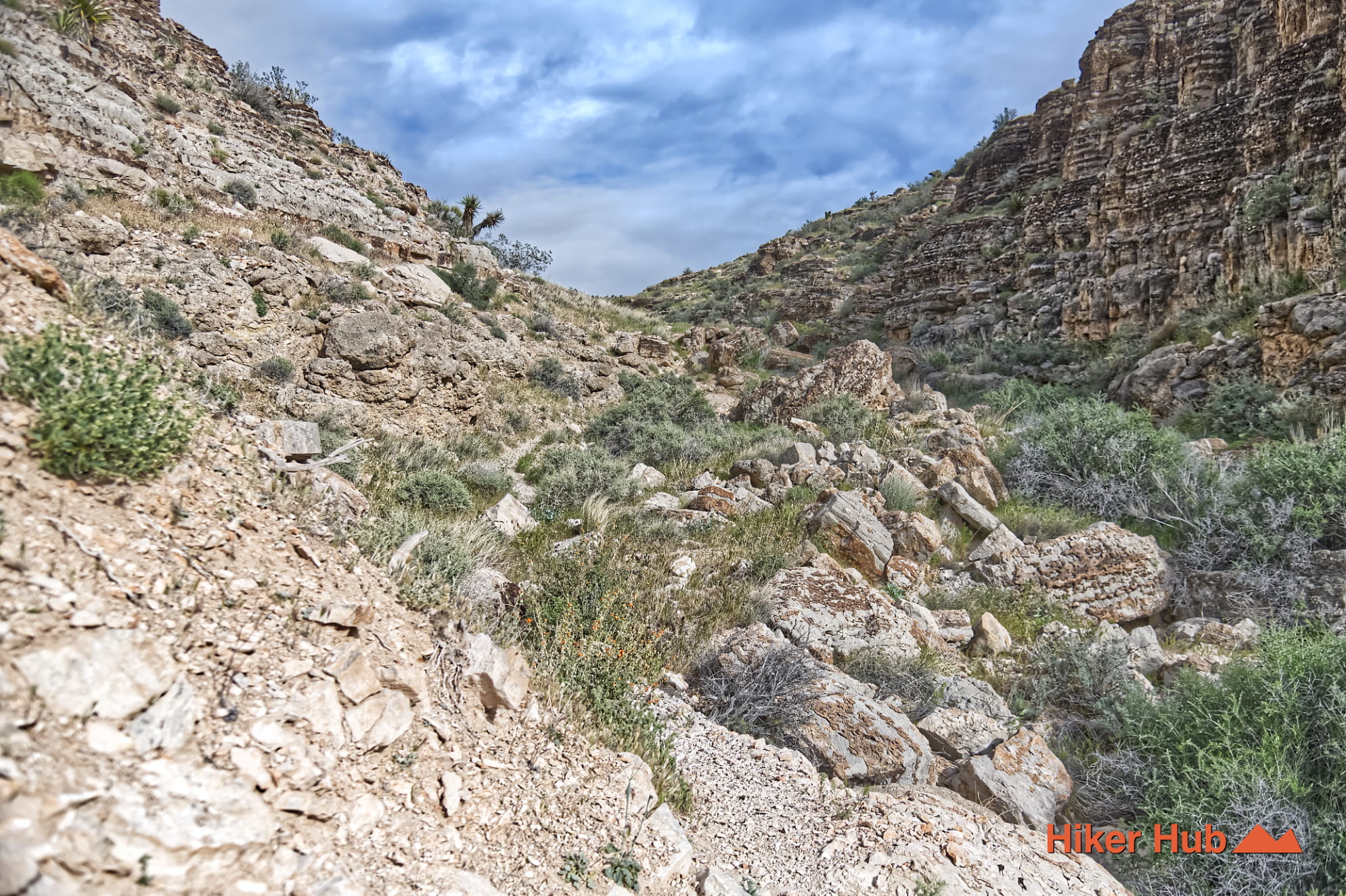 Bob Gnarly Trail photo