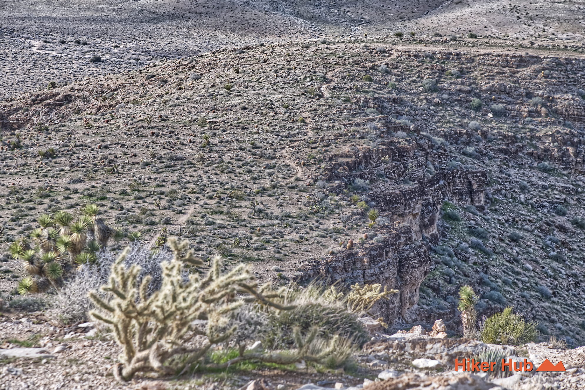 Boneshaker Trail photo