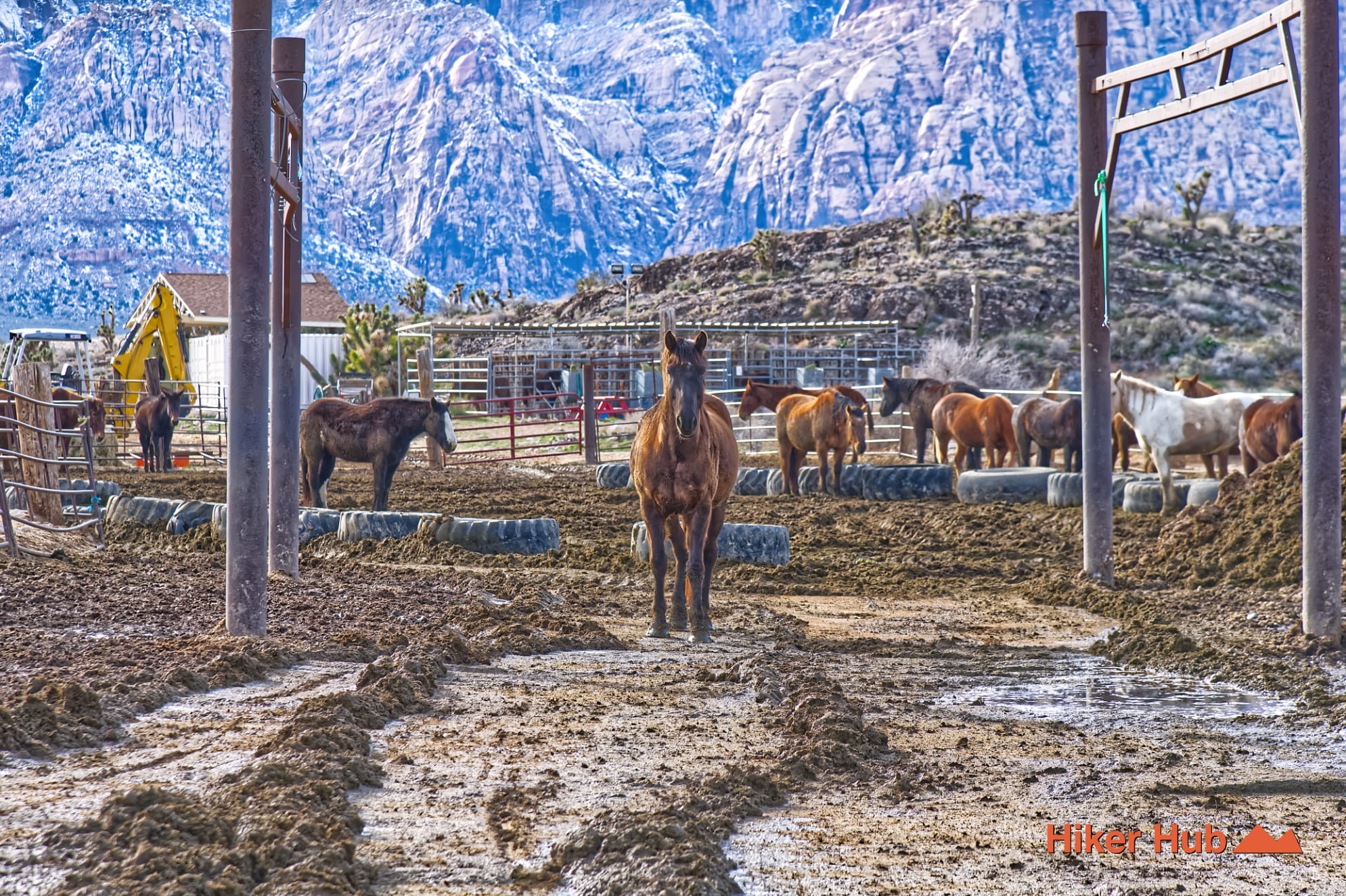 Boneshaker Trail photo