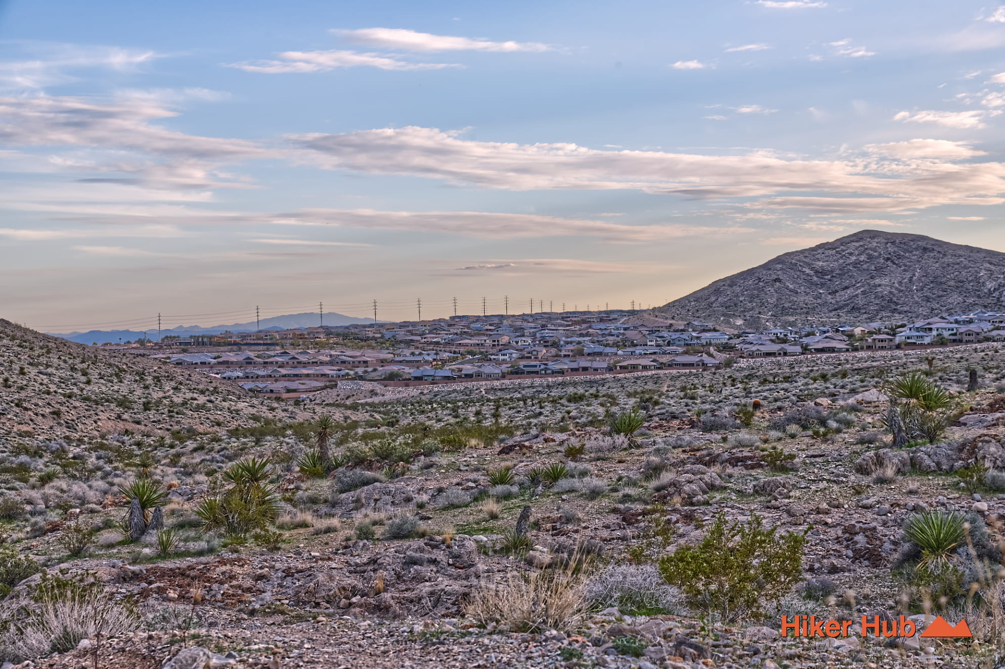 Buckskin Black Friday Trail