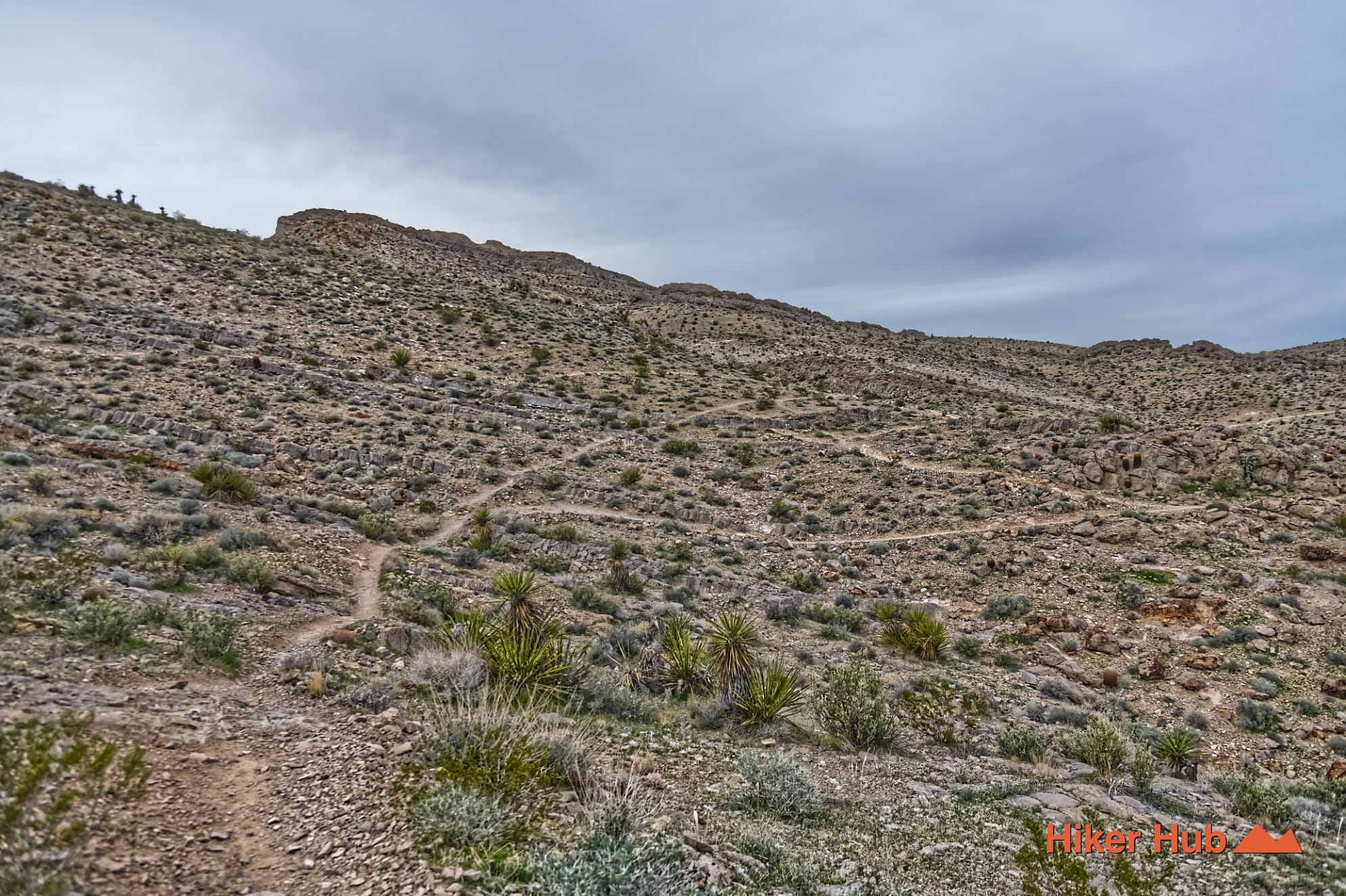 Buckskin Middle Earth Trail photo