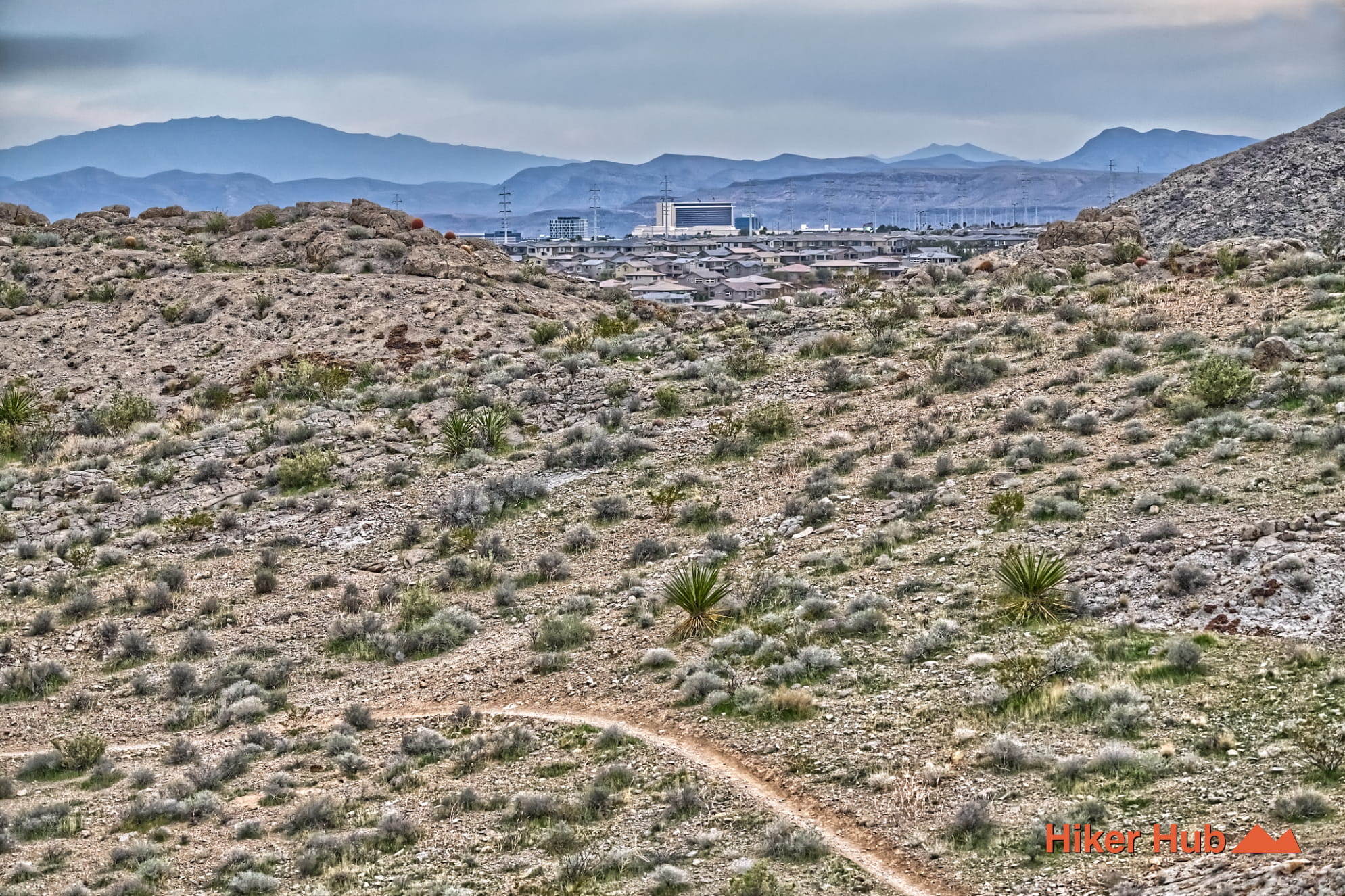 Buckskin Middle Earth Trail photo