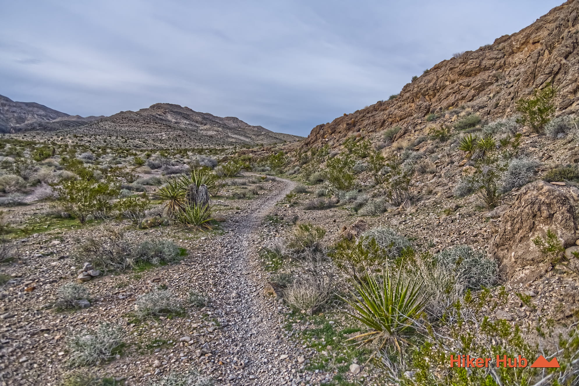 Buckskin No Dab Trail photo