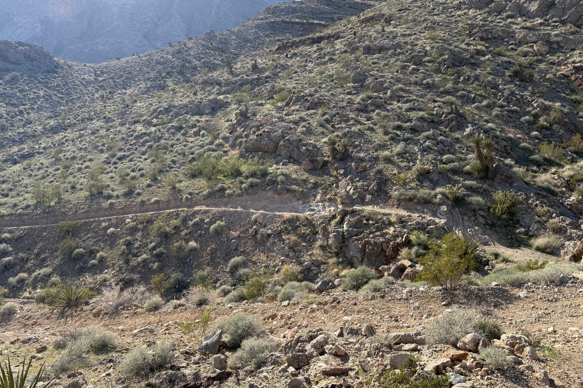 Buckskin Toque Trail desert canyon scenery