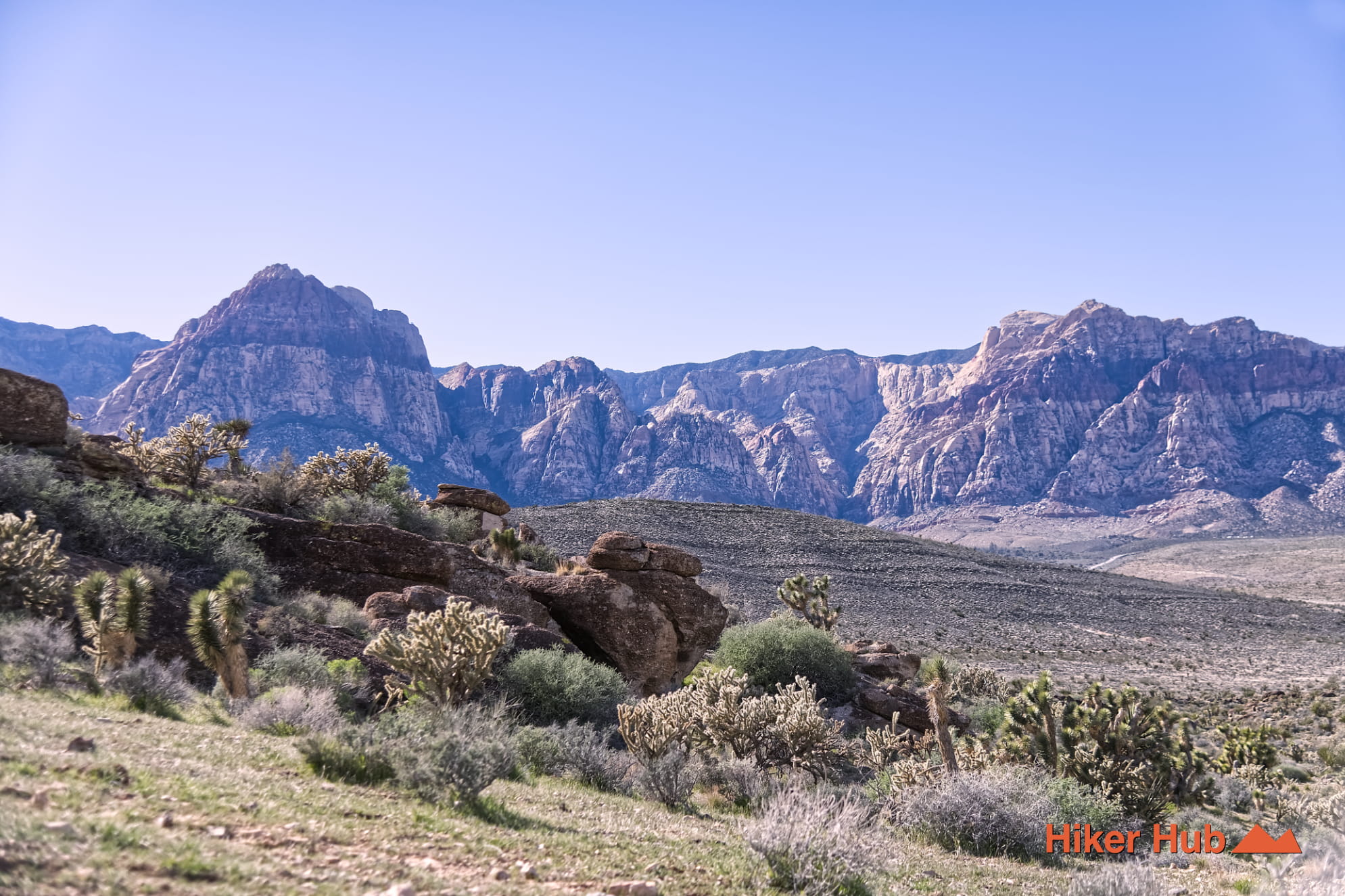Bunny Trail photo
