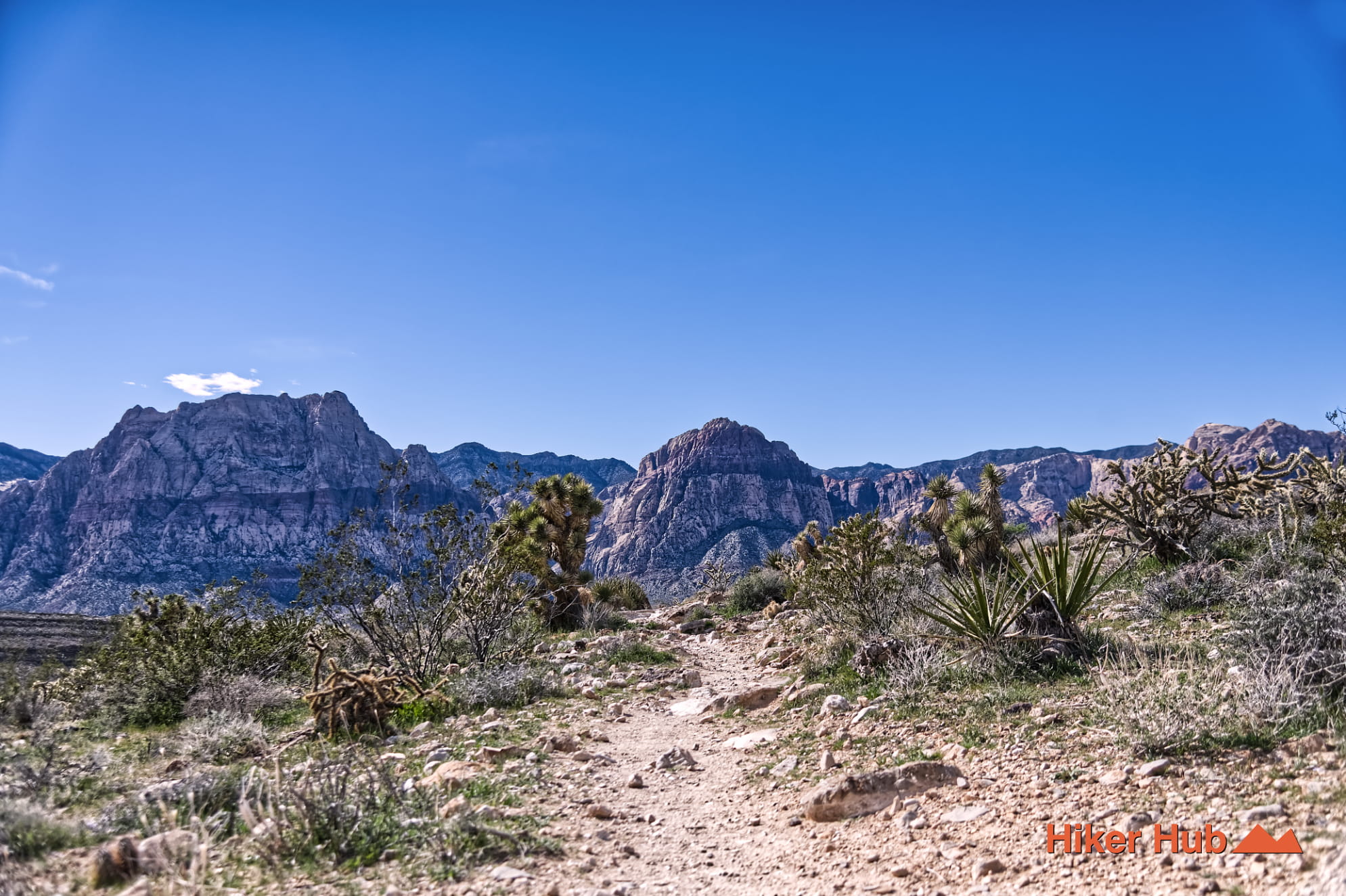 Bunny Trail photo