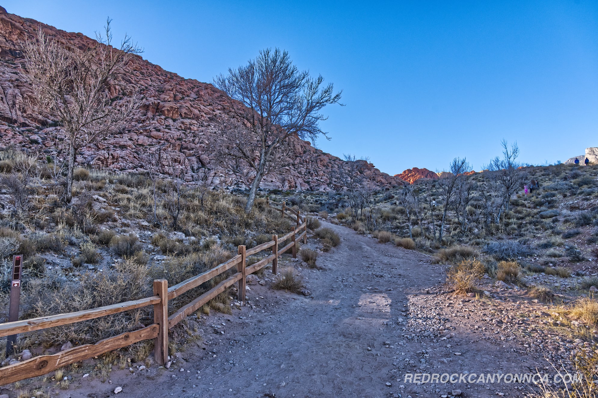 
                            Calico Basin Trail