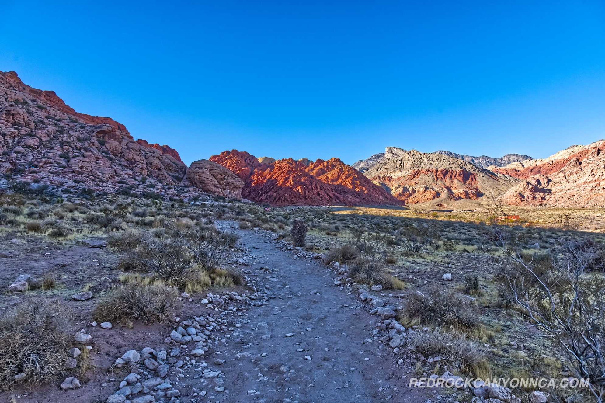 Calico Basin Trail desert canyon scenery