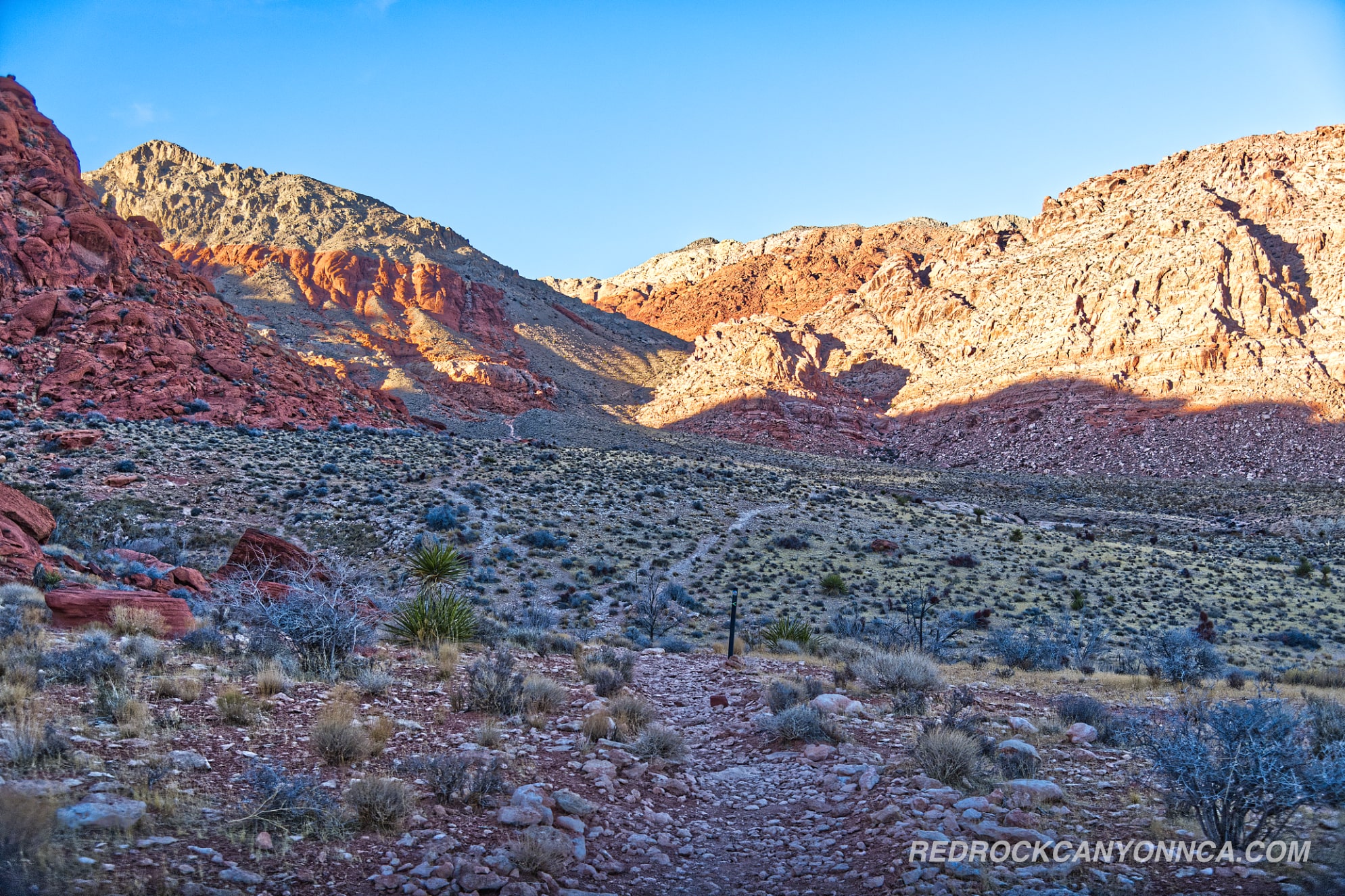 Calico Basin Trail desert canyon scenery
