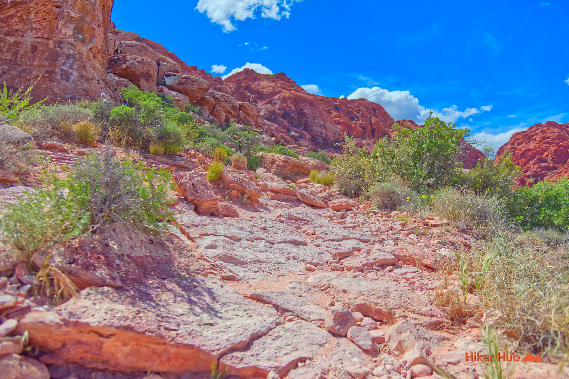 Calico Basin Trail photo