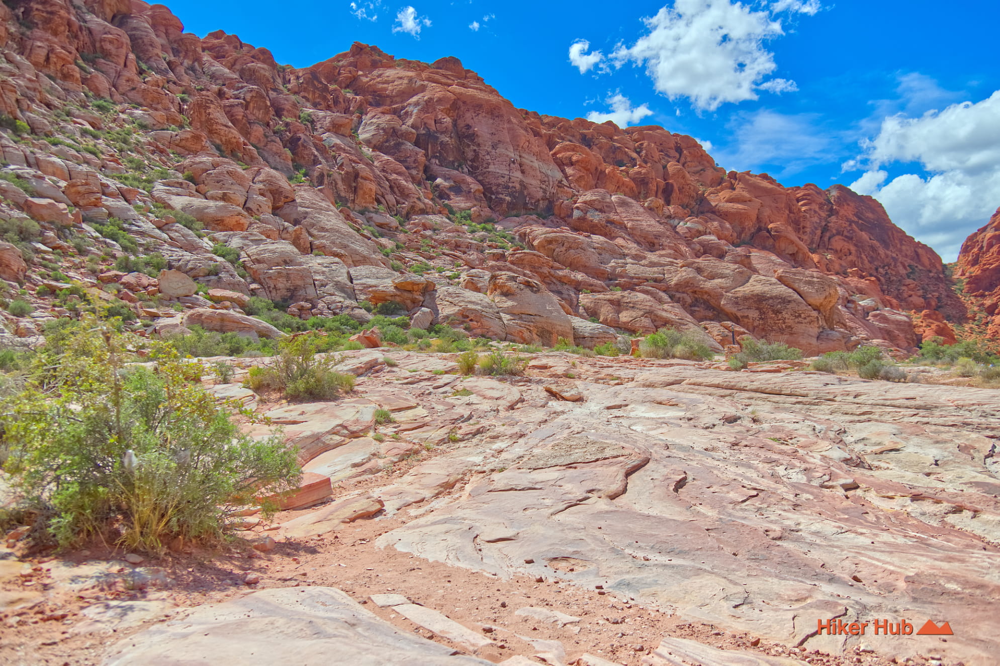Calico Basin Trail photo