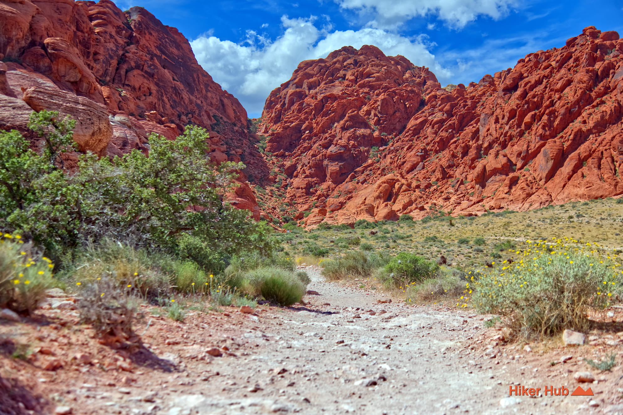 Calico Basin Trail photo