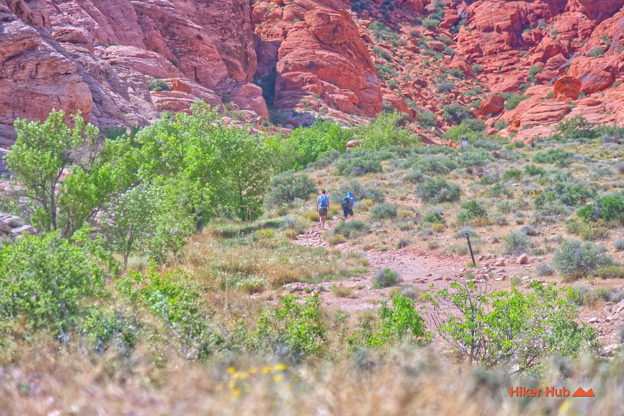 Calico Basin Trail photo