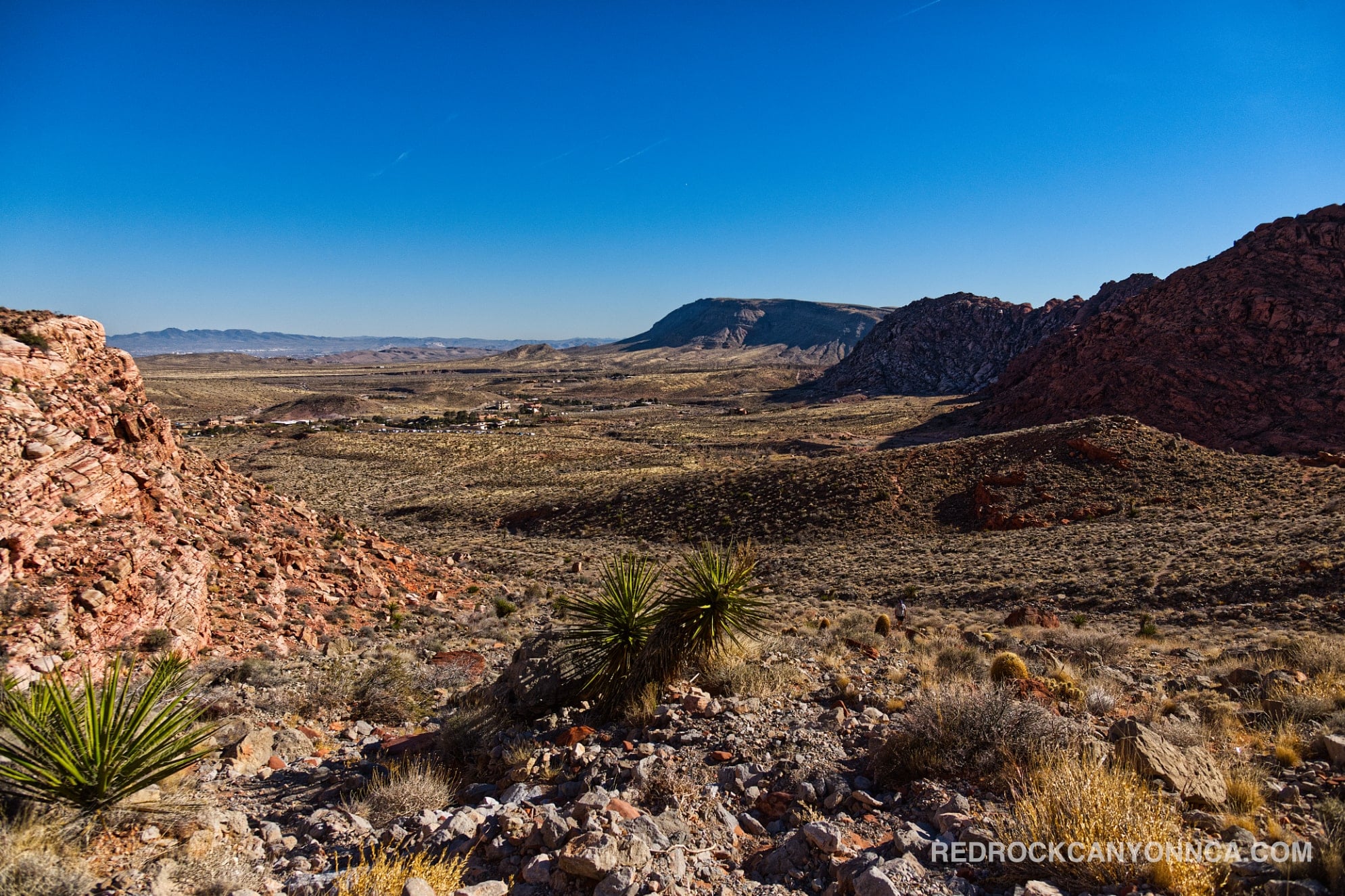 
                            Calico Hills Loop Trail