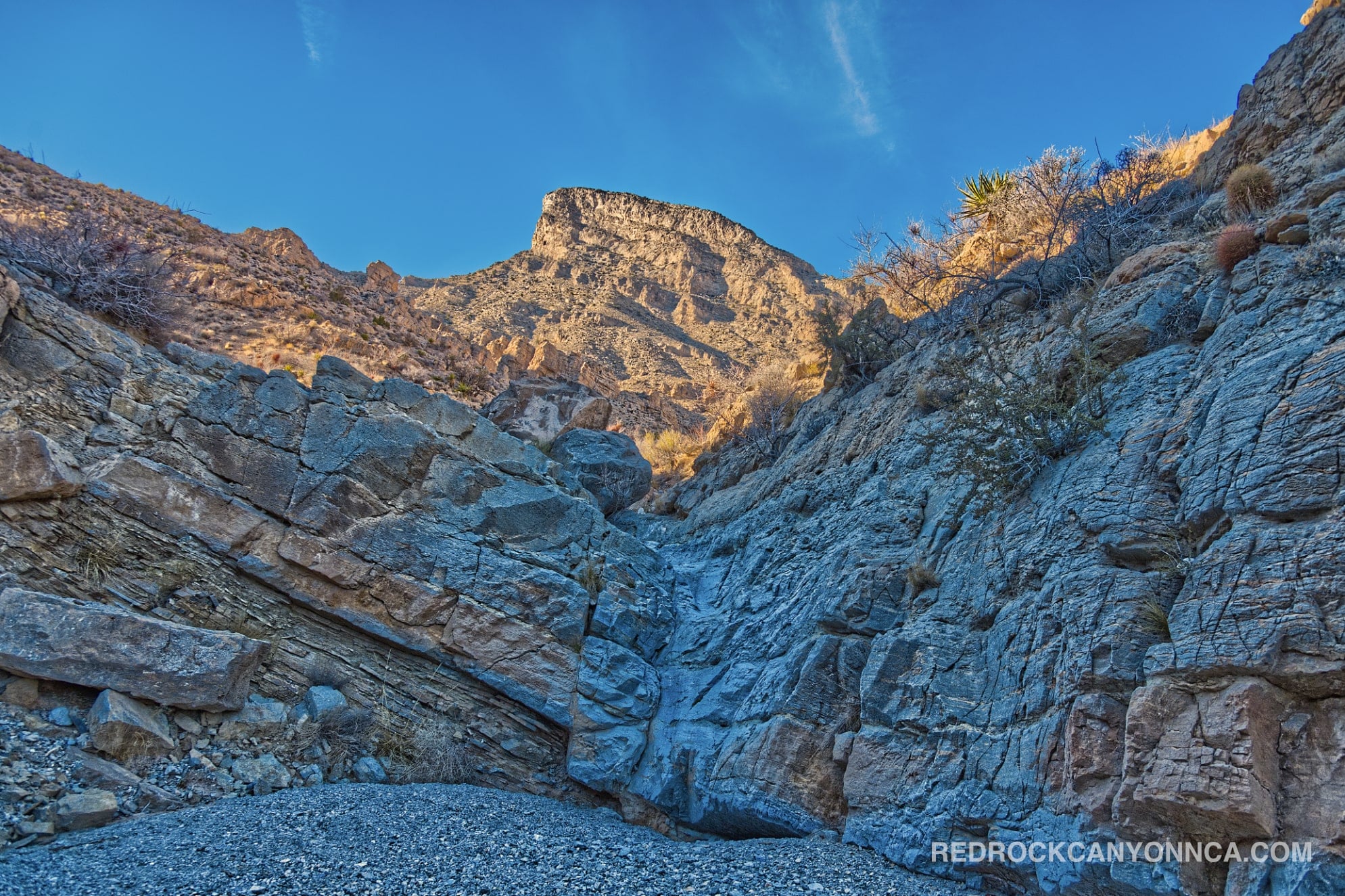Calico Hills Loop Trail desert canyon scenery