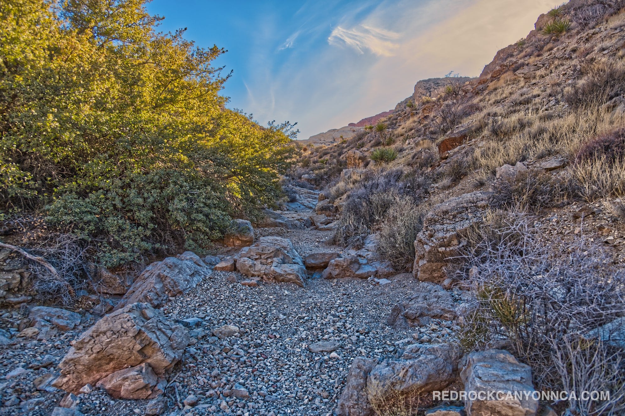 Calico Hills Loop Trail desert canyon scenery