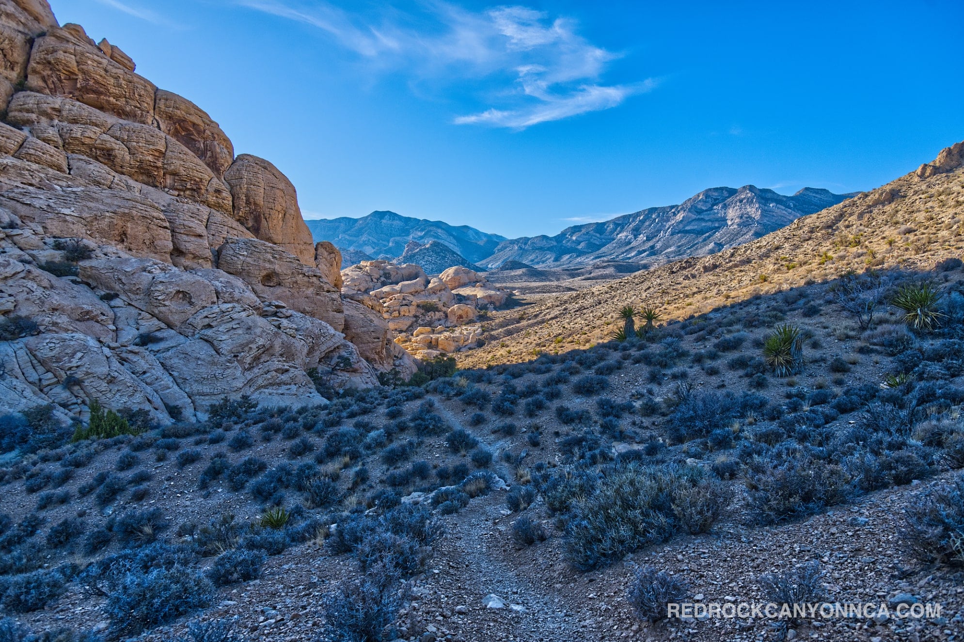 Calico Hills Loop Trail desert canyon scenery
