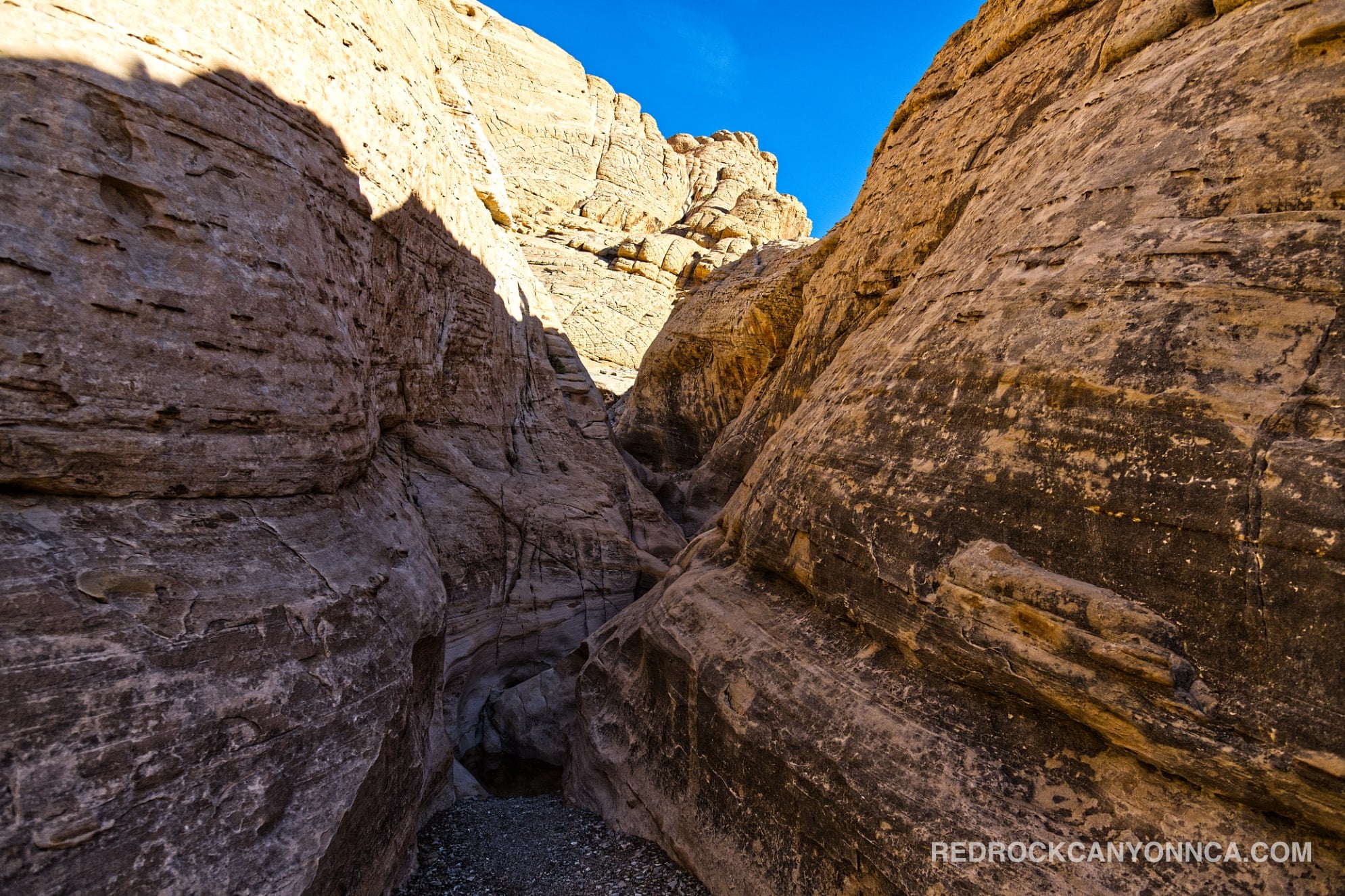 Calico Hills Loop Trail desert canyon scenery