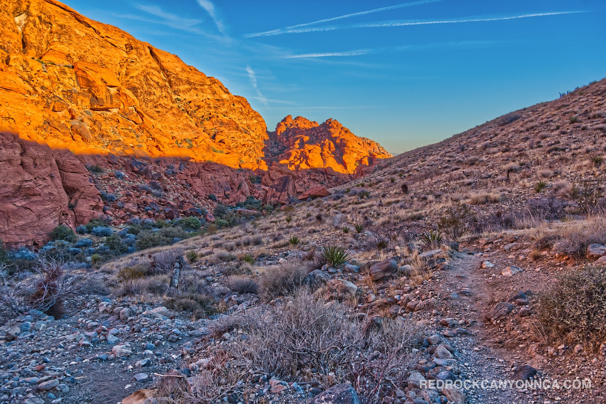 Calico Hills Loop Trail desert canyon scenery