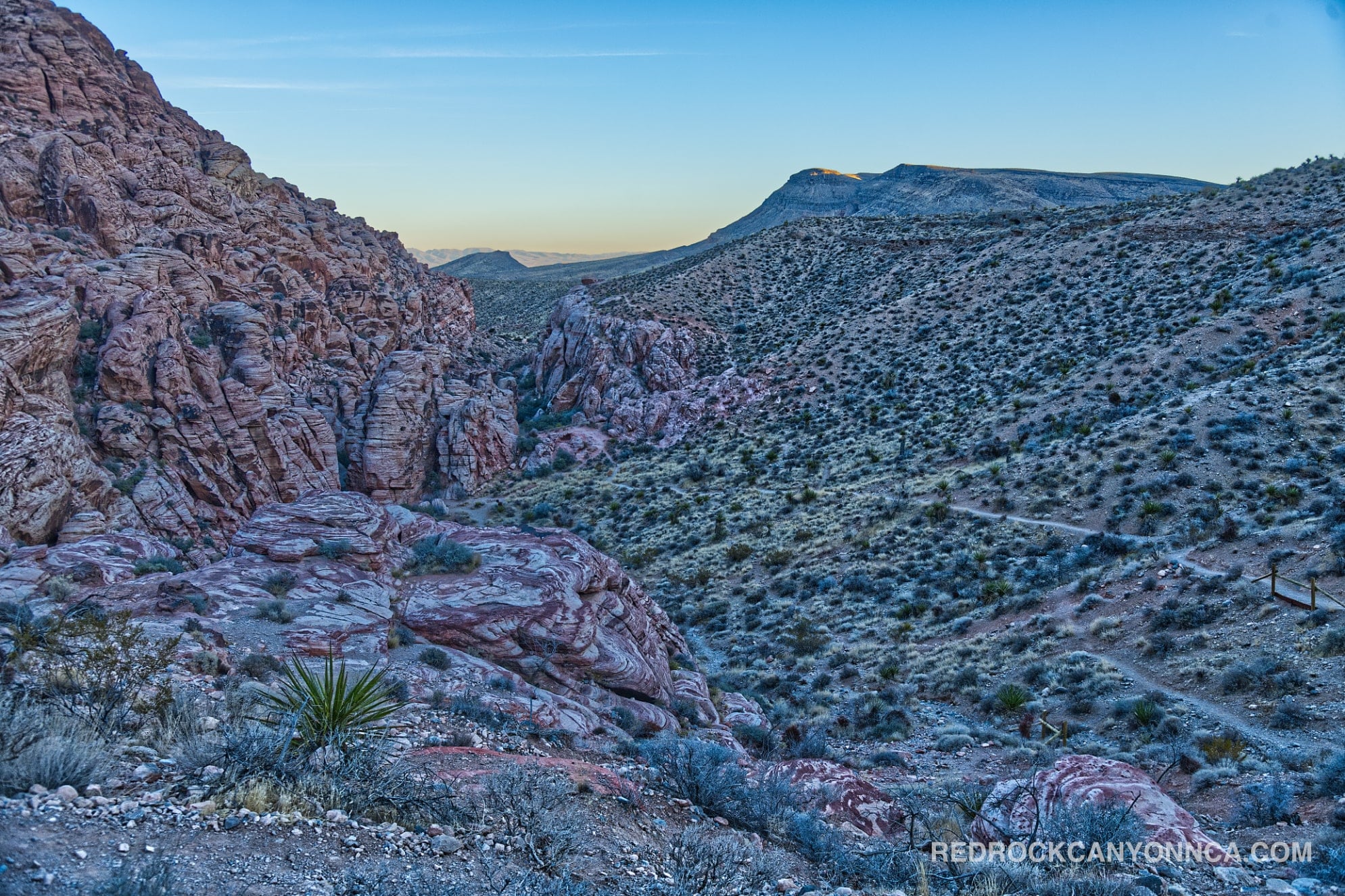 Calico Hills Loop Trail desert canyon scenery