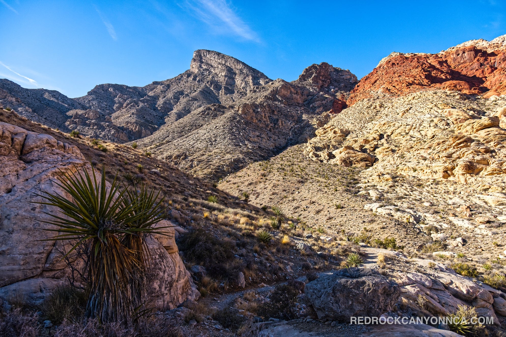 Calico Hills Loop photo