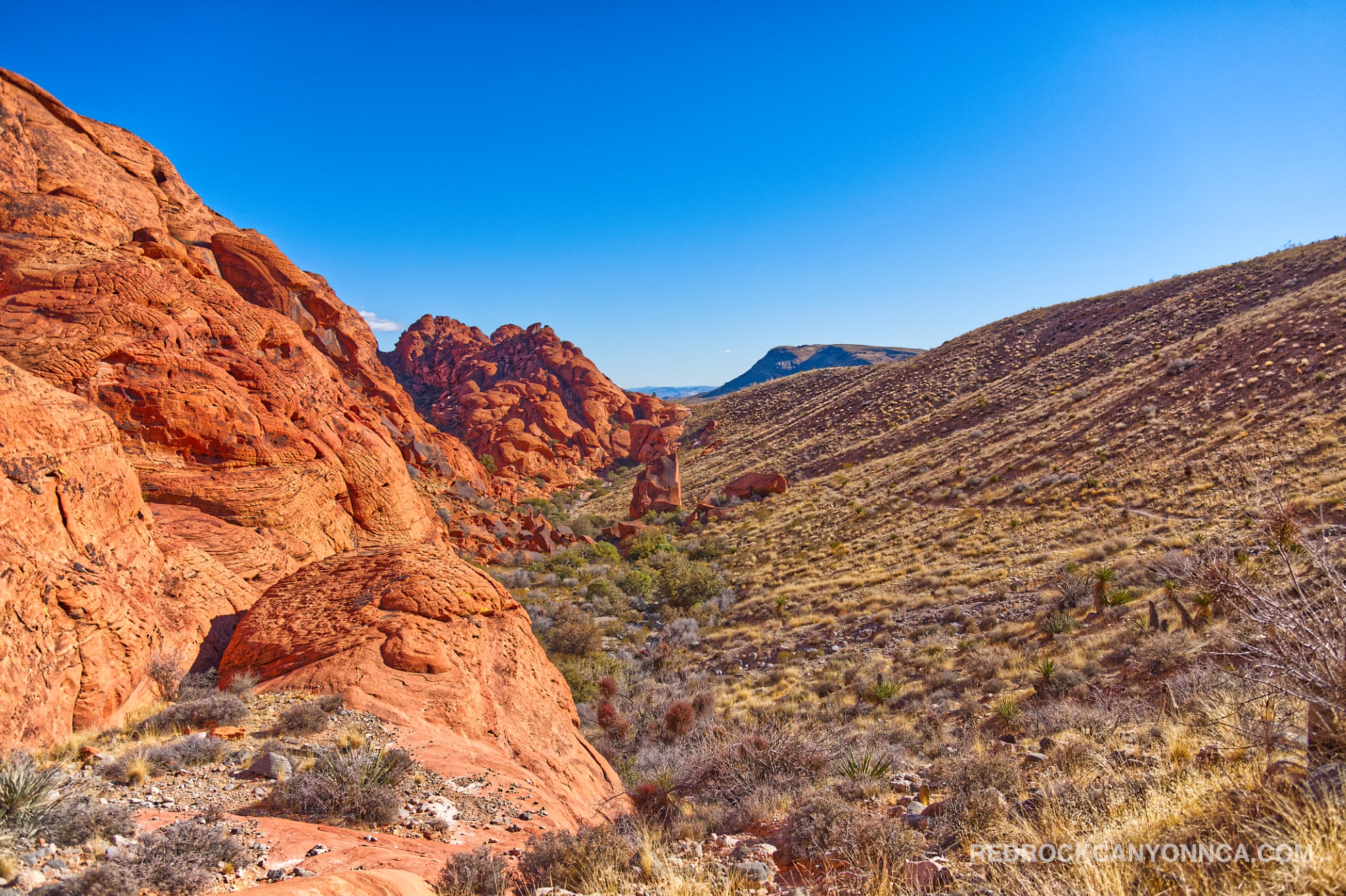 Calico Hills Trail desert canyon scenery