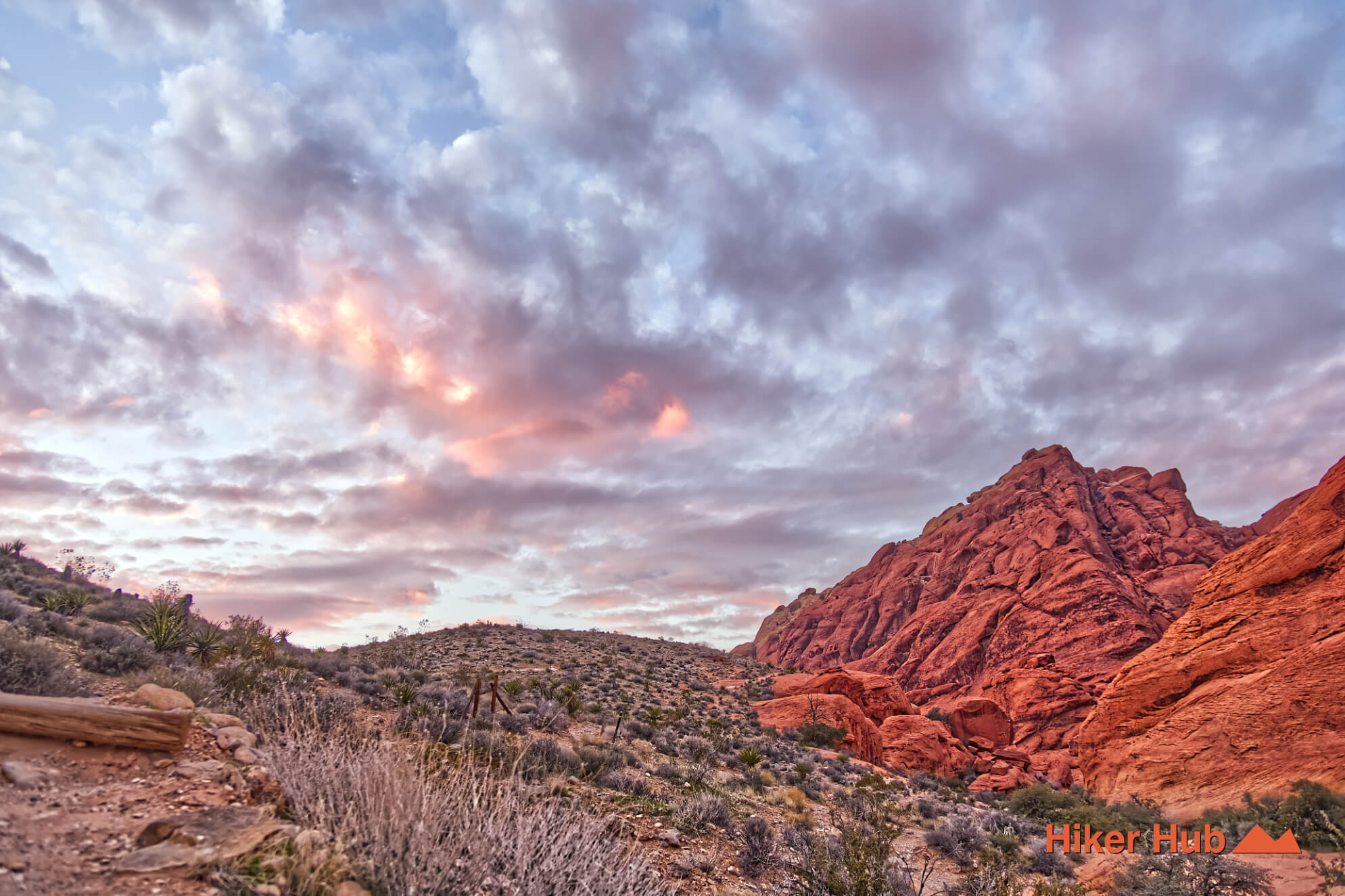 Calico Hills Trail desert canyon scenery