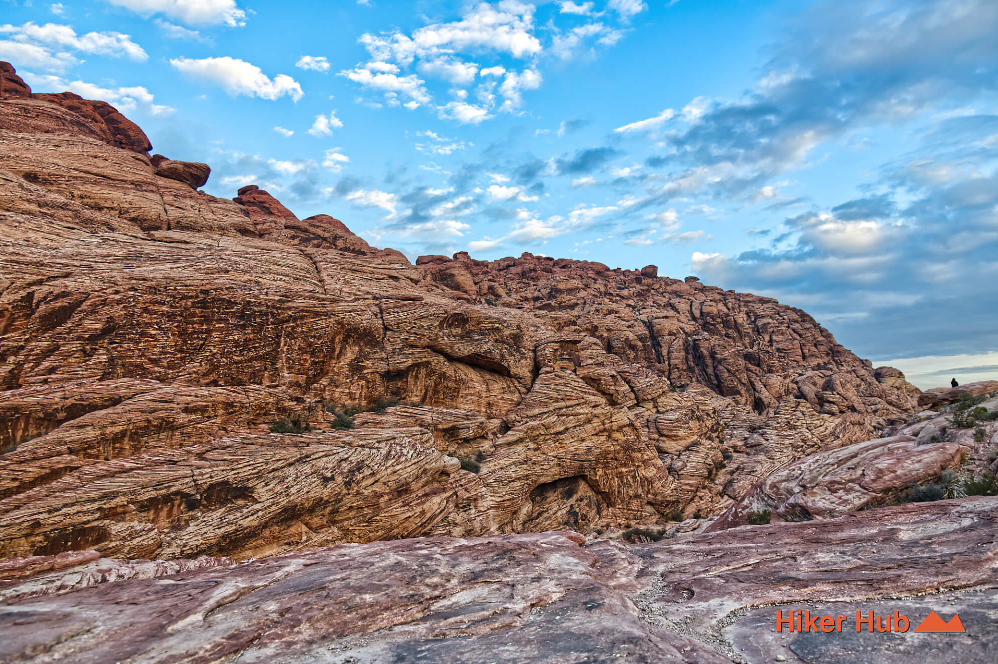 Calico Hills Trail desert canyon scenery