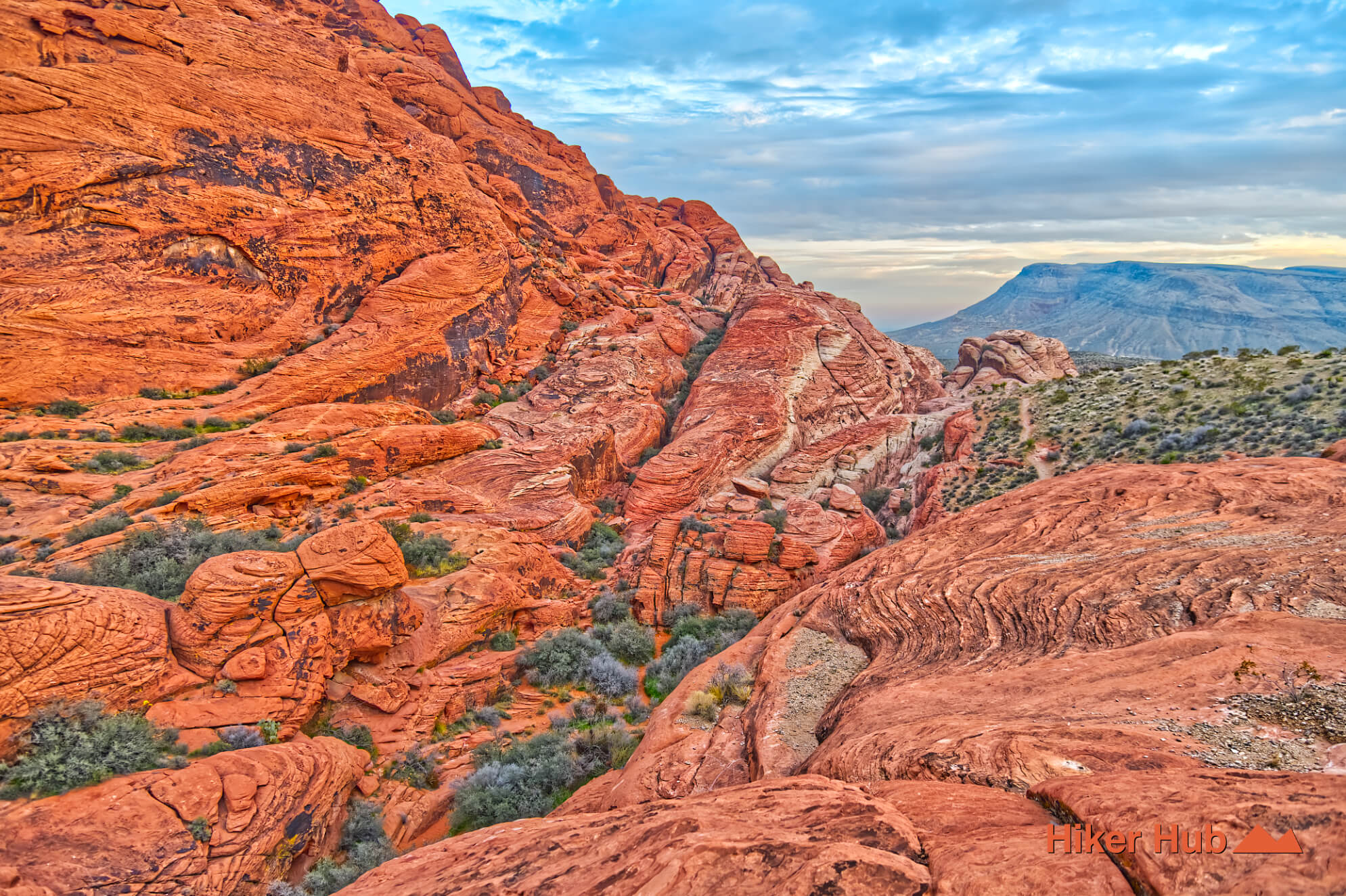 Calico Hills Trail desert canyon scenery