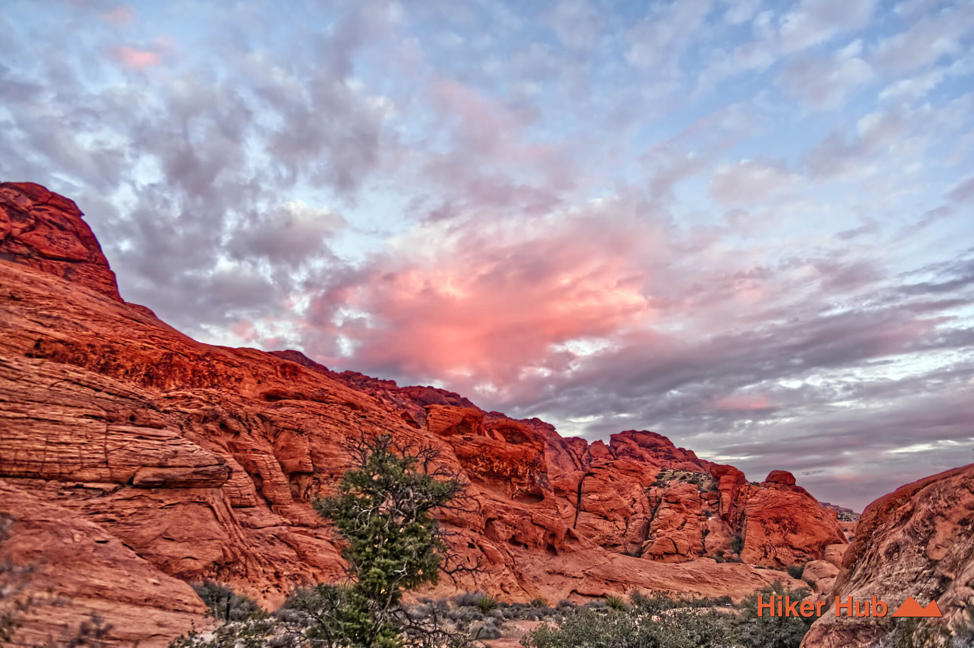 Calico Hills Trail desert canyon scenery