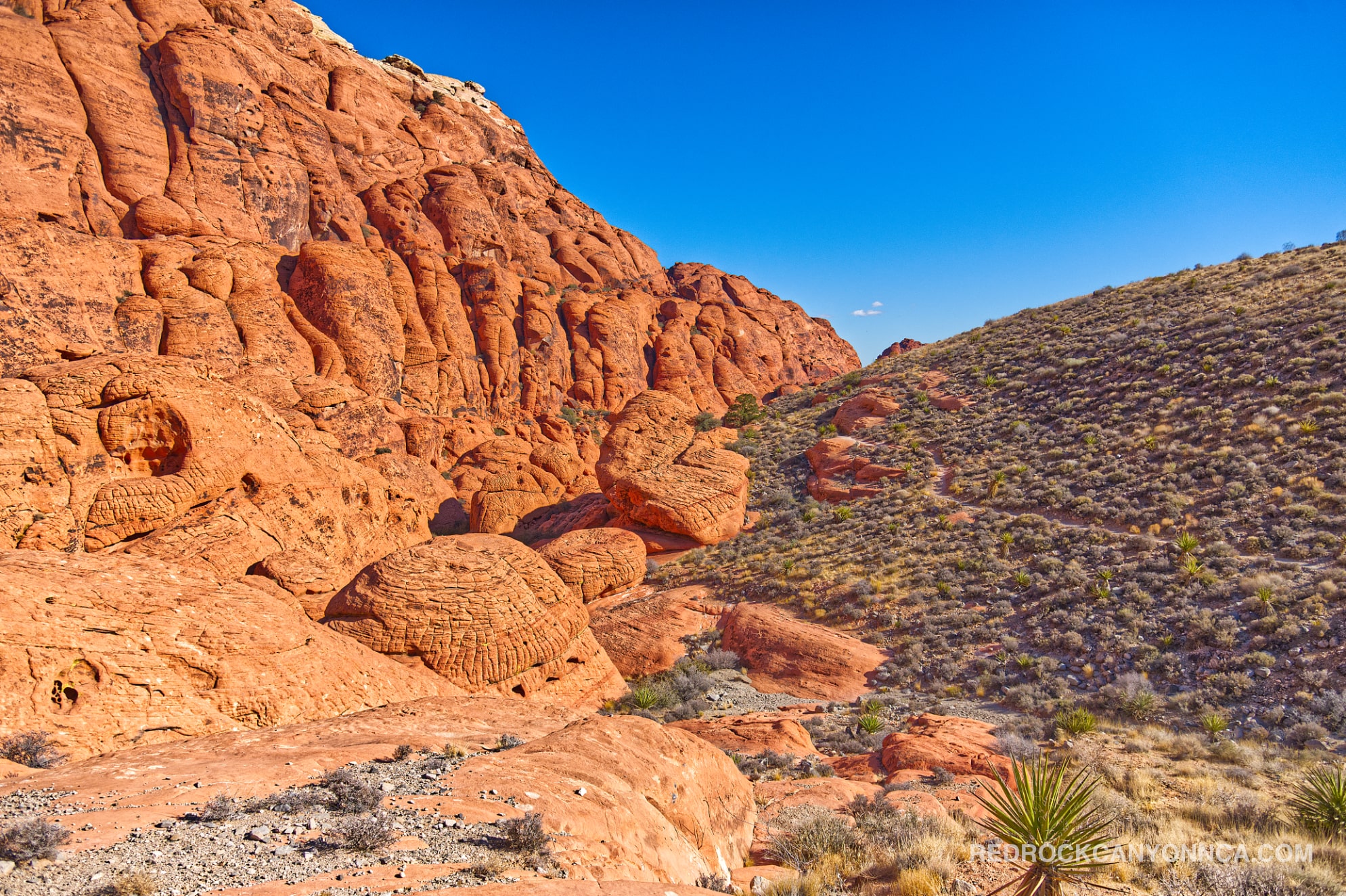 Calico Hills Trail desert canyon scenery