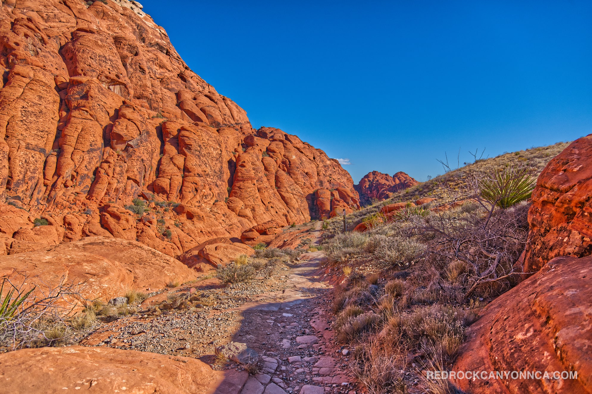 Calico Hills Trail desert canyon scenery