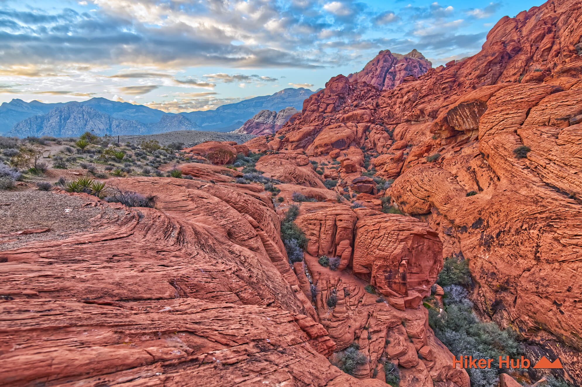 Calico Hills Trail desert canyon scenery