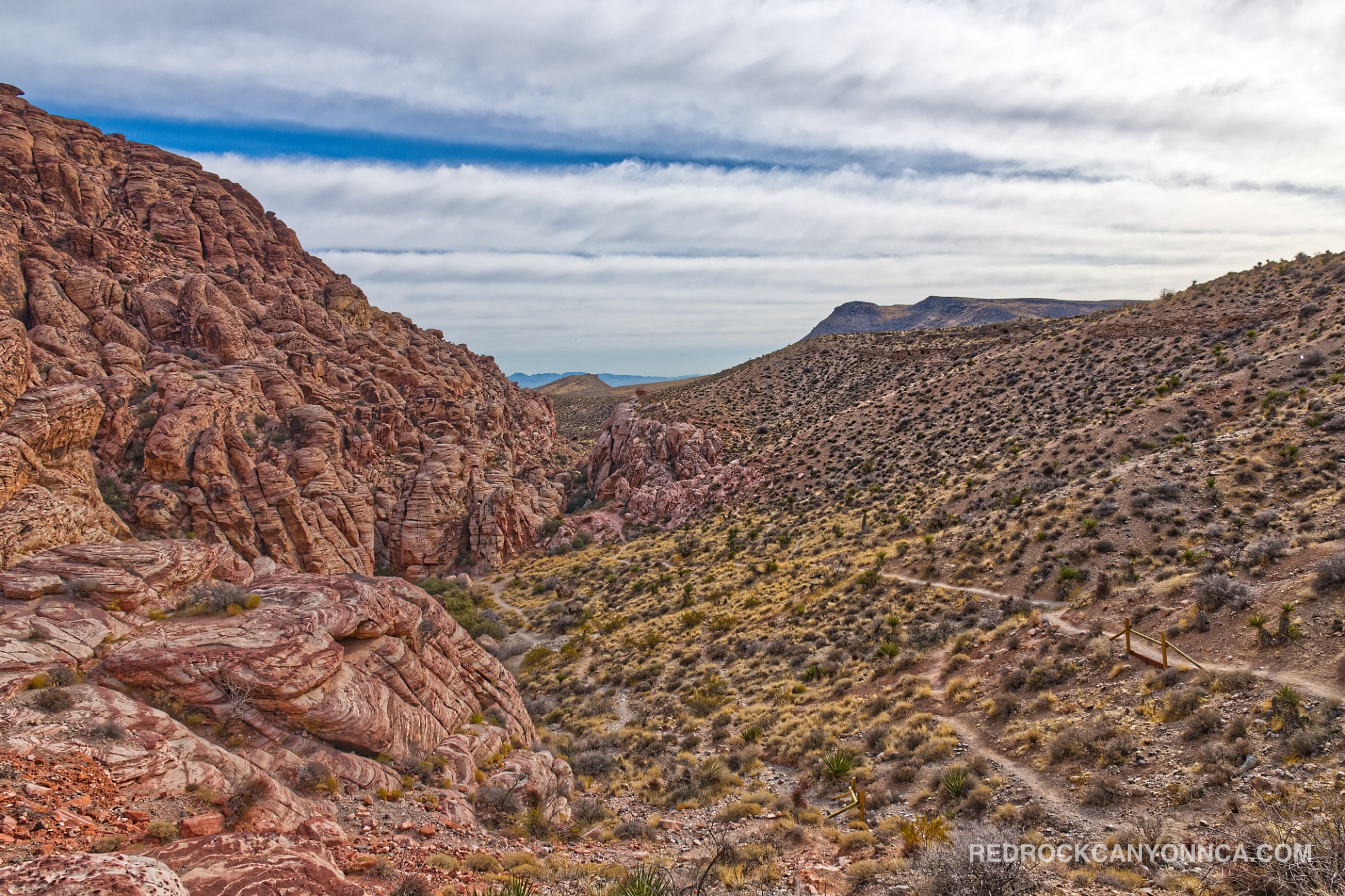 Calico Overlook Trail desert canyon scenery