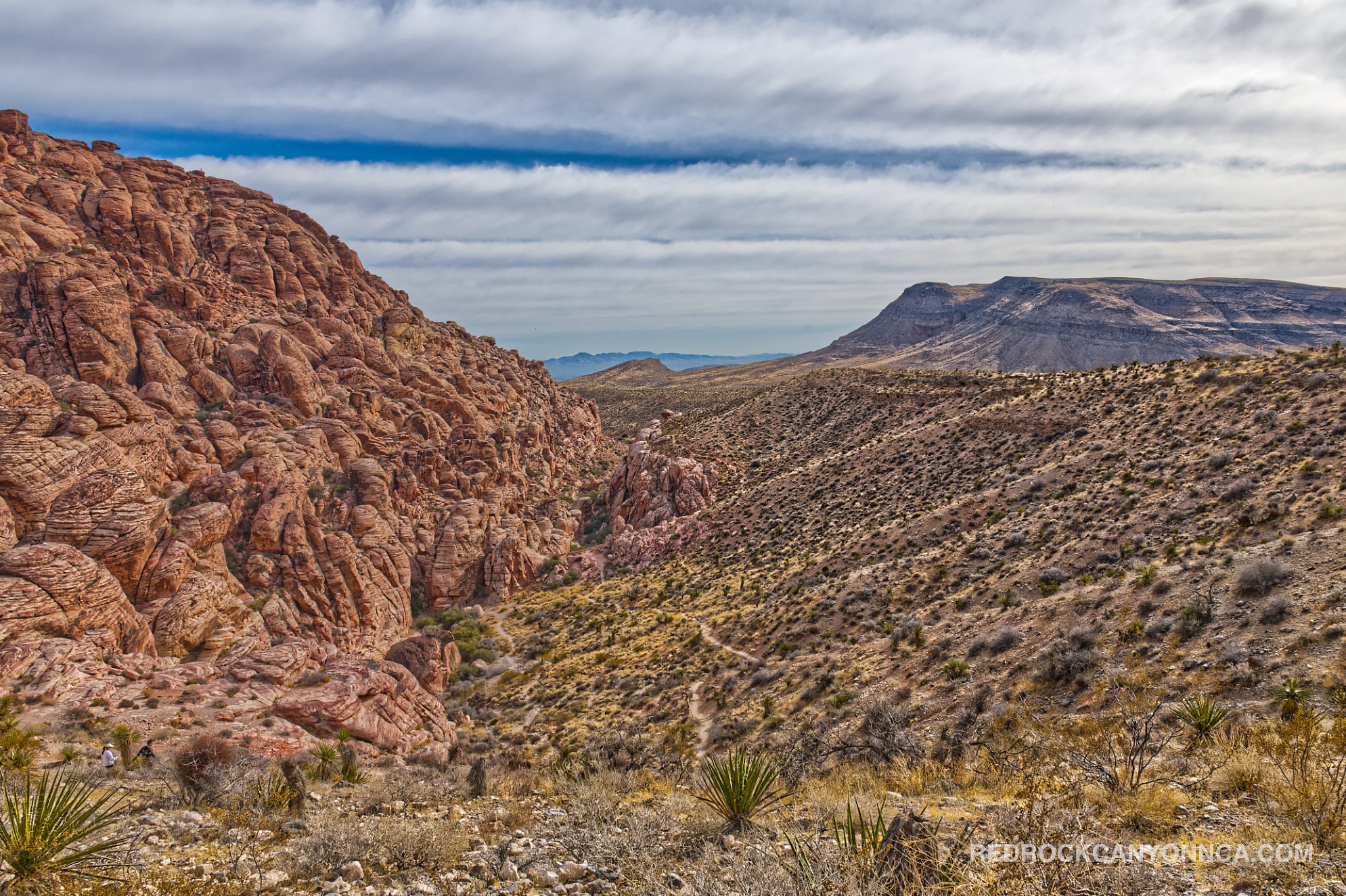 Calico Overlook Trail desert canyon scenery