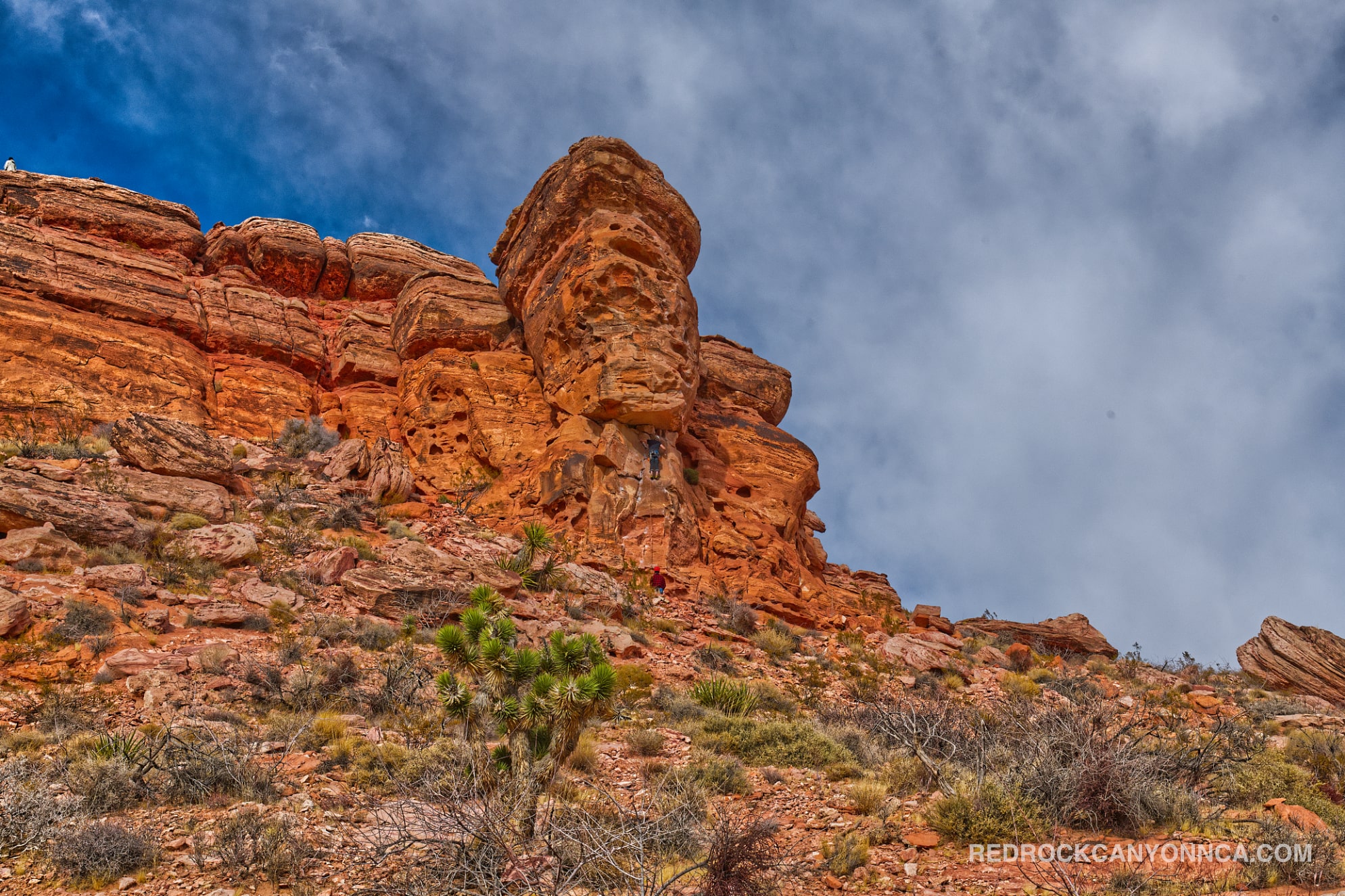 Calico Overlook Trail desert canyon scenery