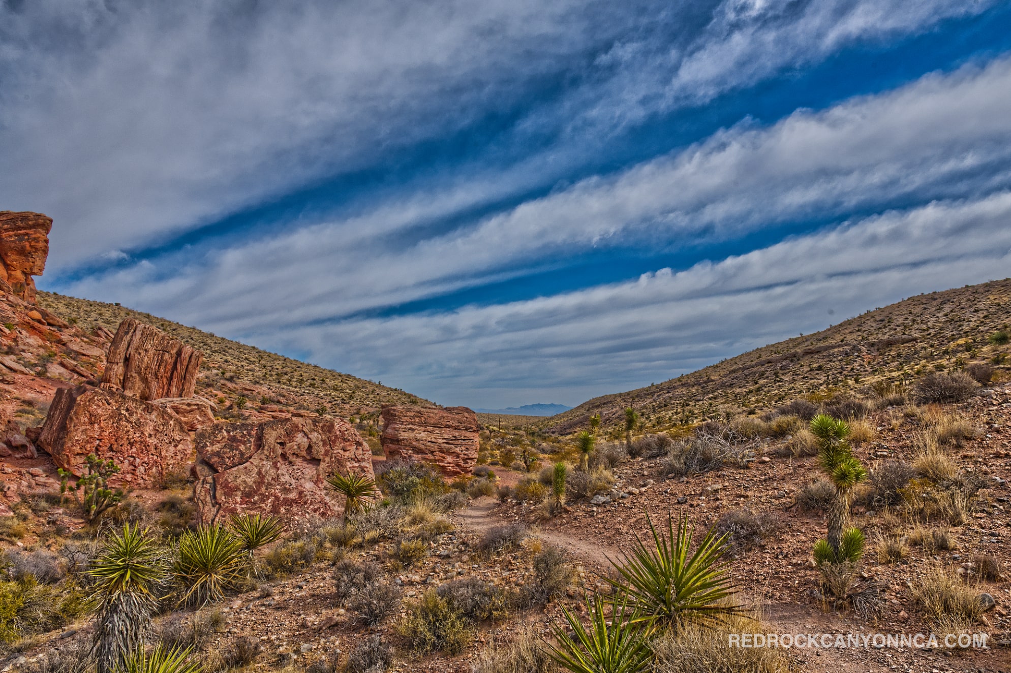 Calico Overlook Trail desert canyon scenery