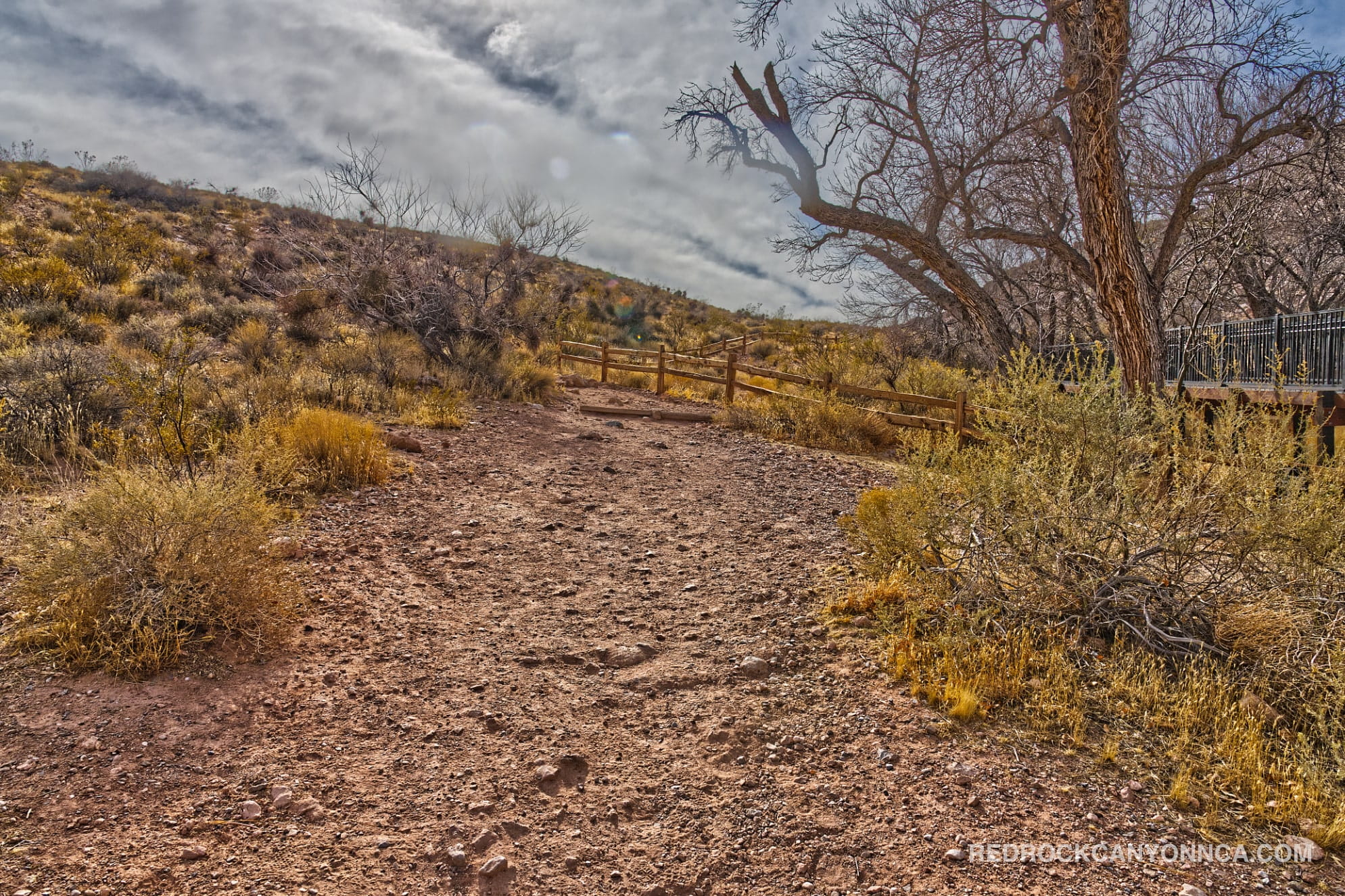 Calico Overlook Trail desert canyon scenery