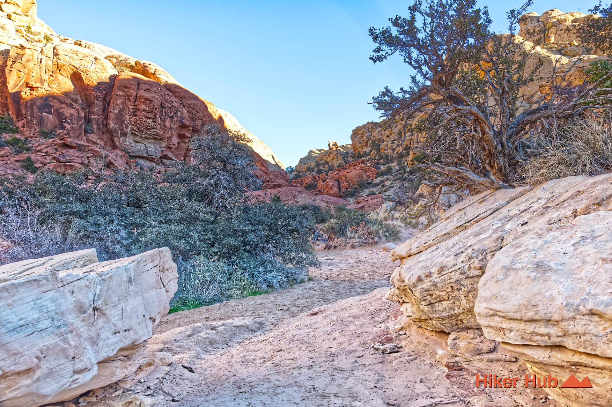 Calico Tanks Trail