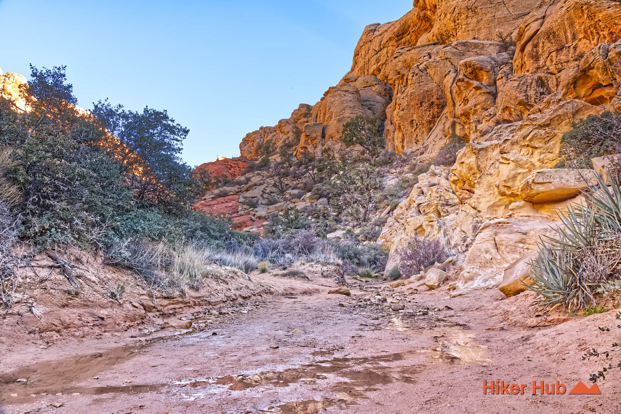 Calico Tanks Trail photo