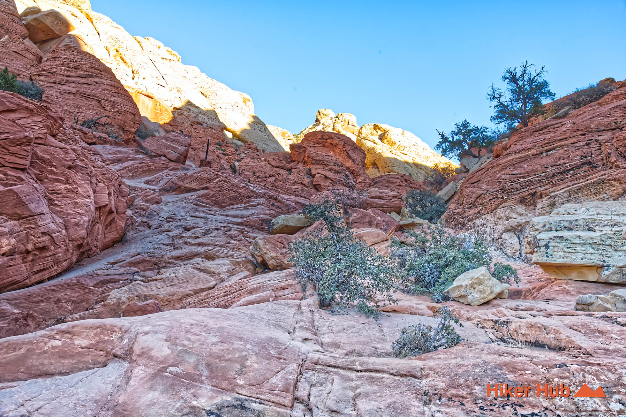 Calico Tanks Trail photo