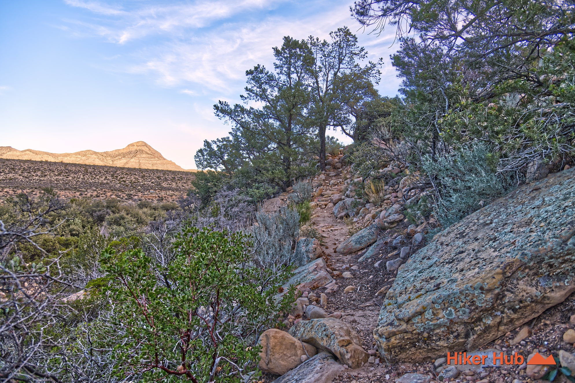 Dale's Trail desert canyon scenery